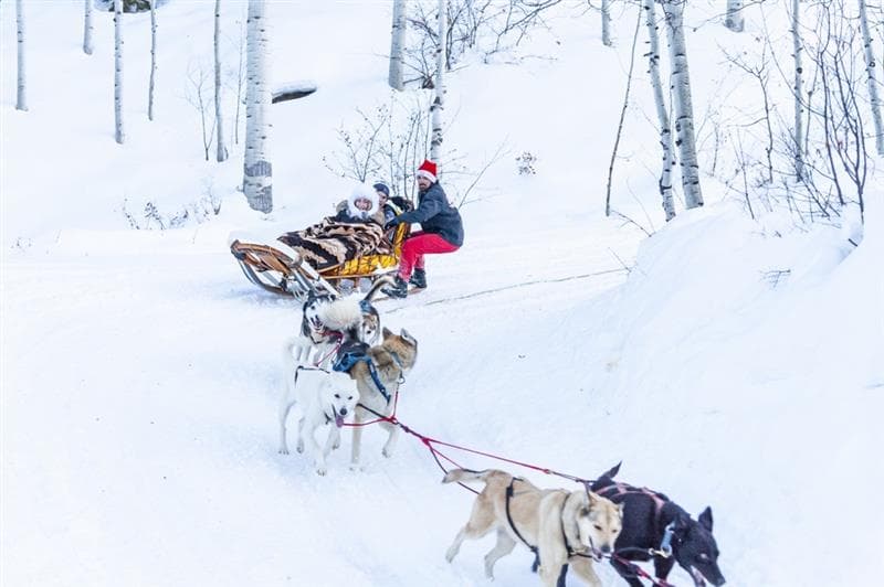 Enjoying a ride on a sled