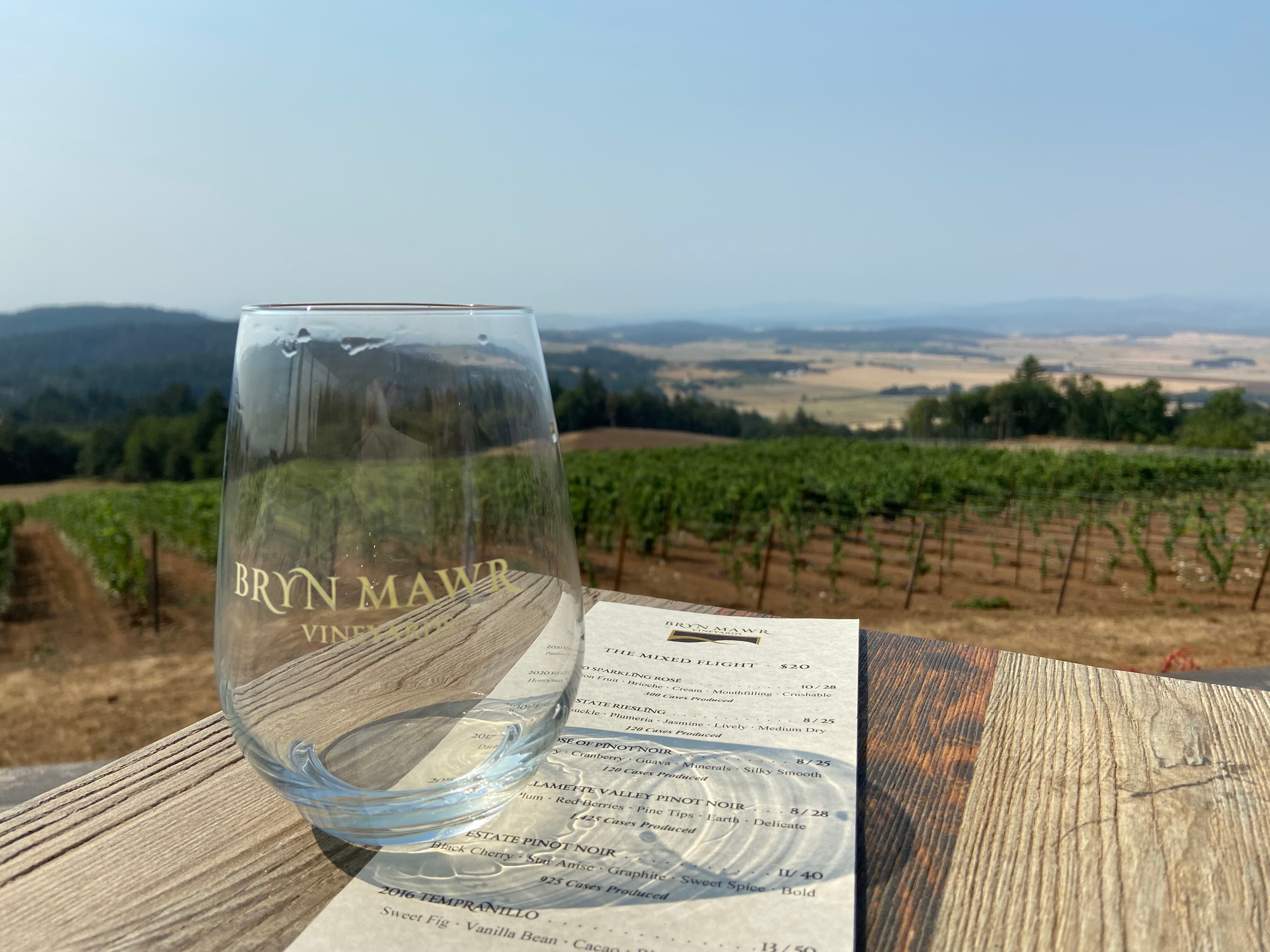 Beautiful view of a vineyard