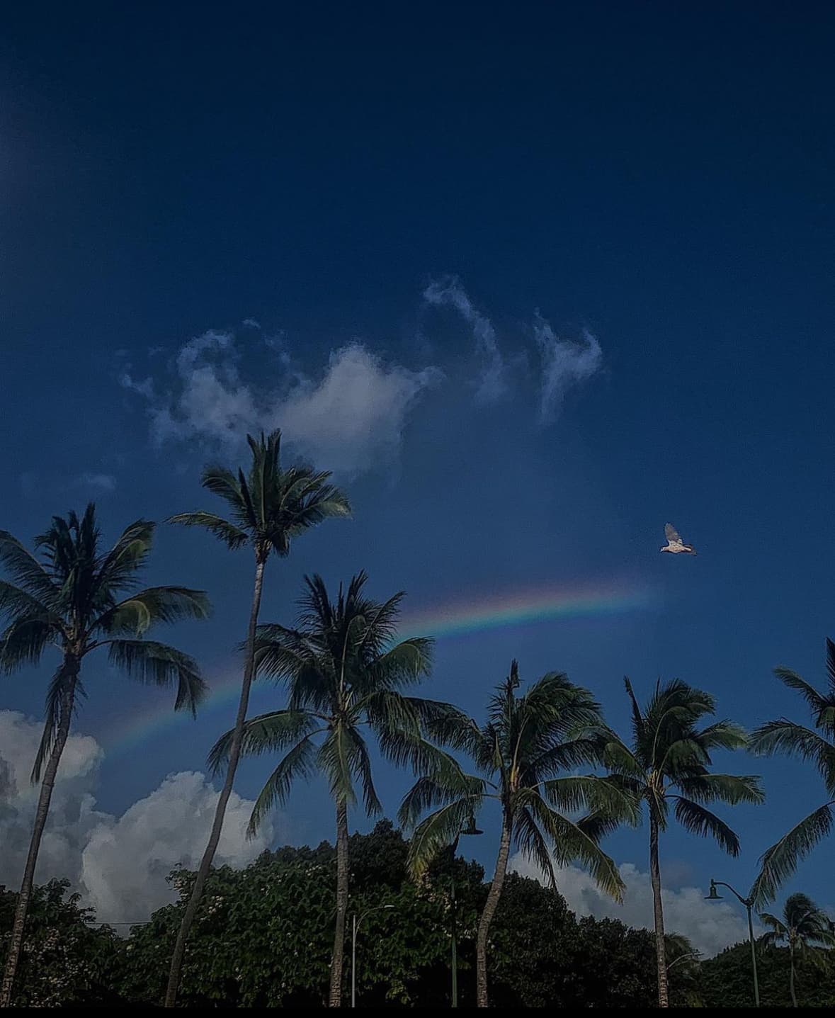 A beautiful view of rainbow on sky