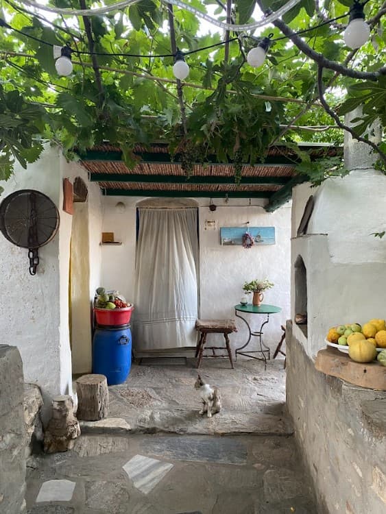 View of a traditional village style home