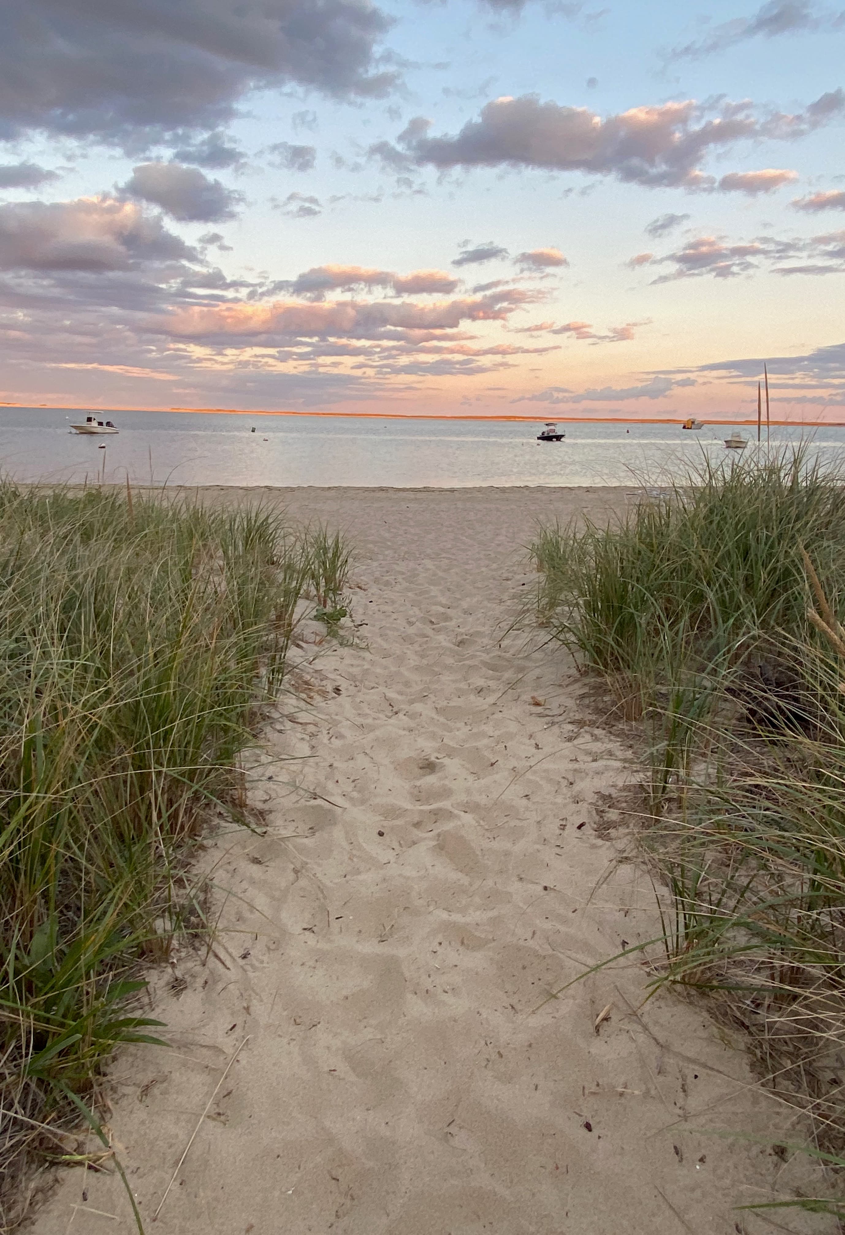 A sandy path, green wild grass and boats on the water at sunset.