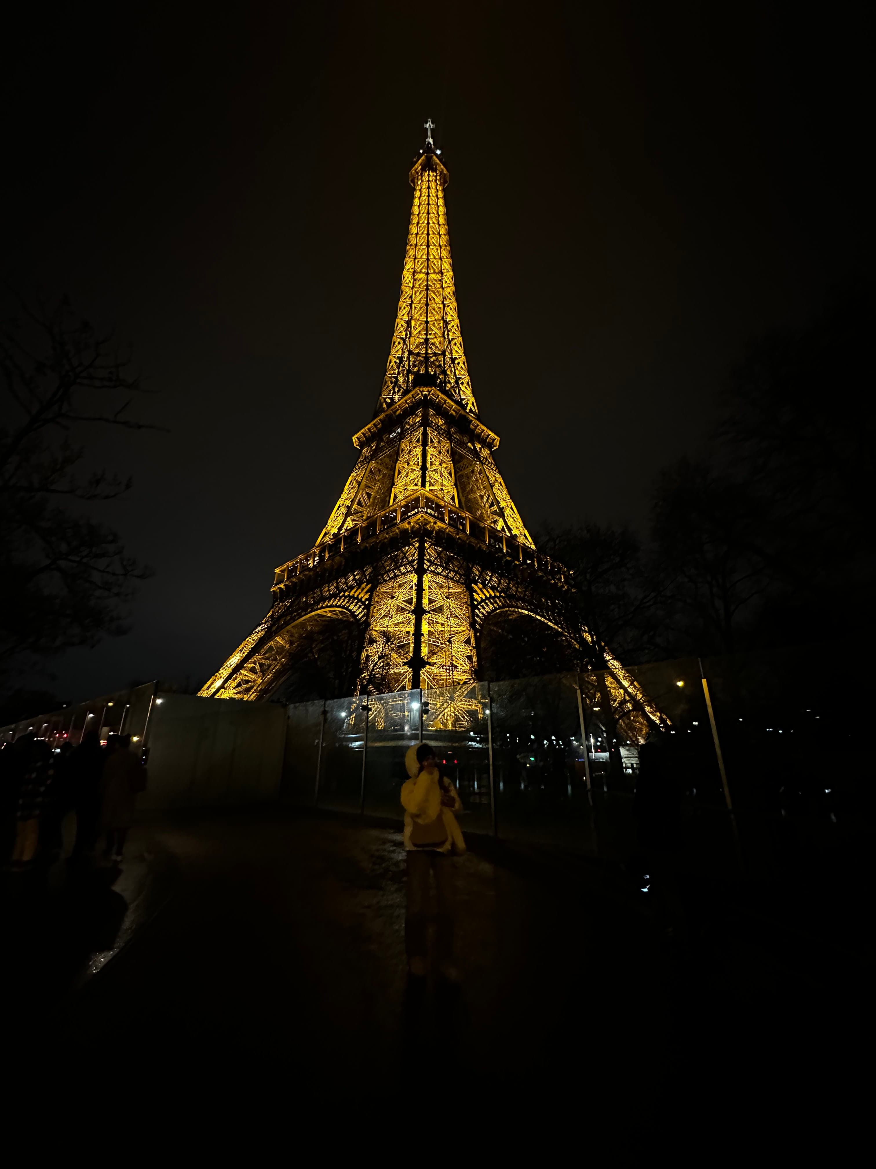 Night view of the Eiffel Tower