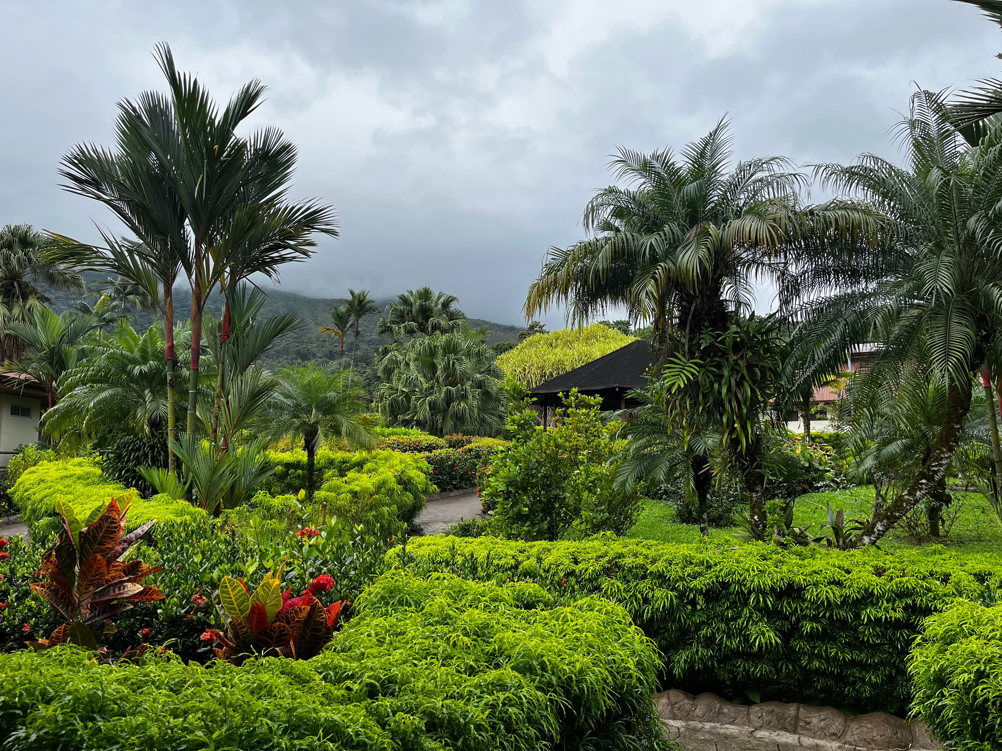 A beautiful view of plants