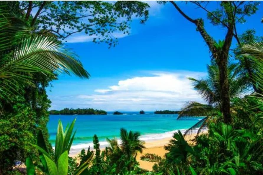 A beautiful view of beach