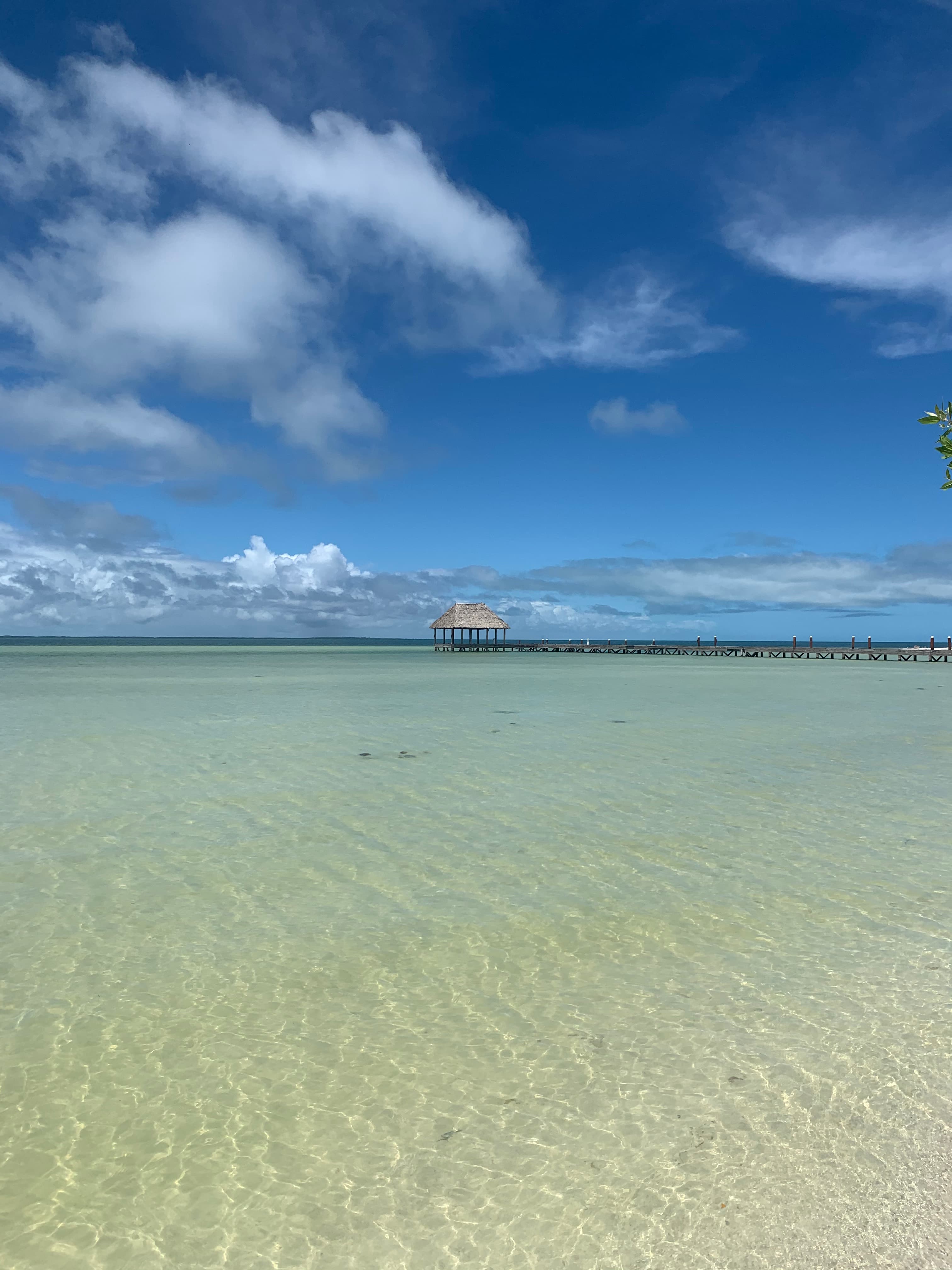 Beautiful view of the beach