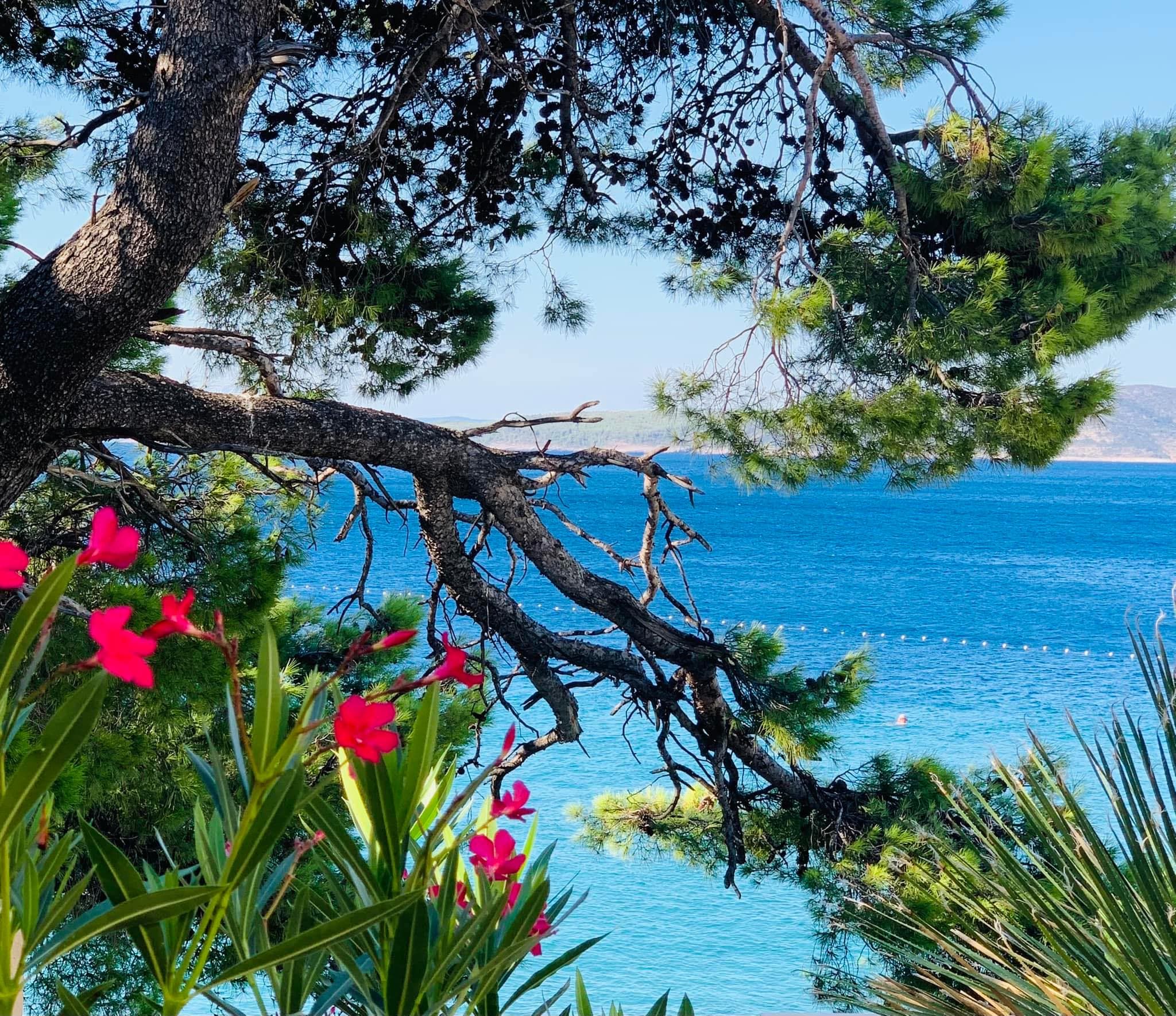 A beautiful view of sea