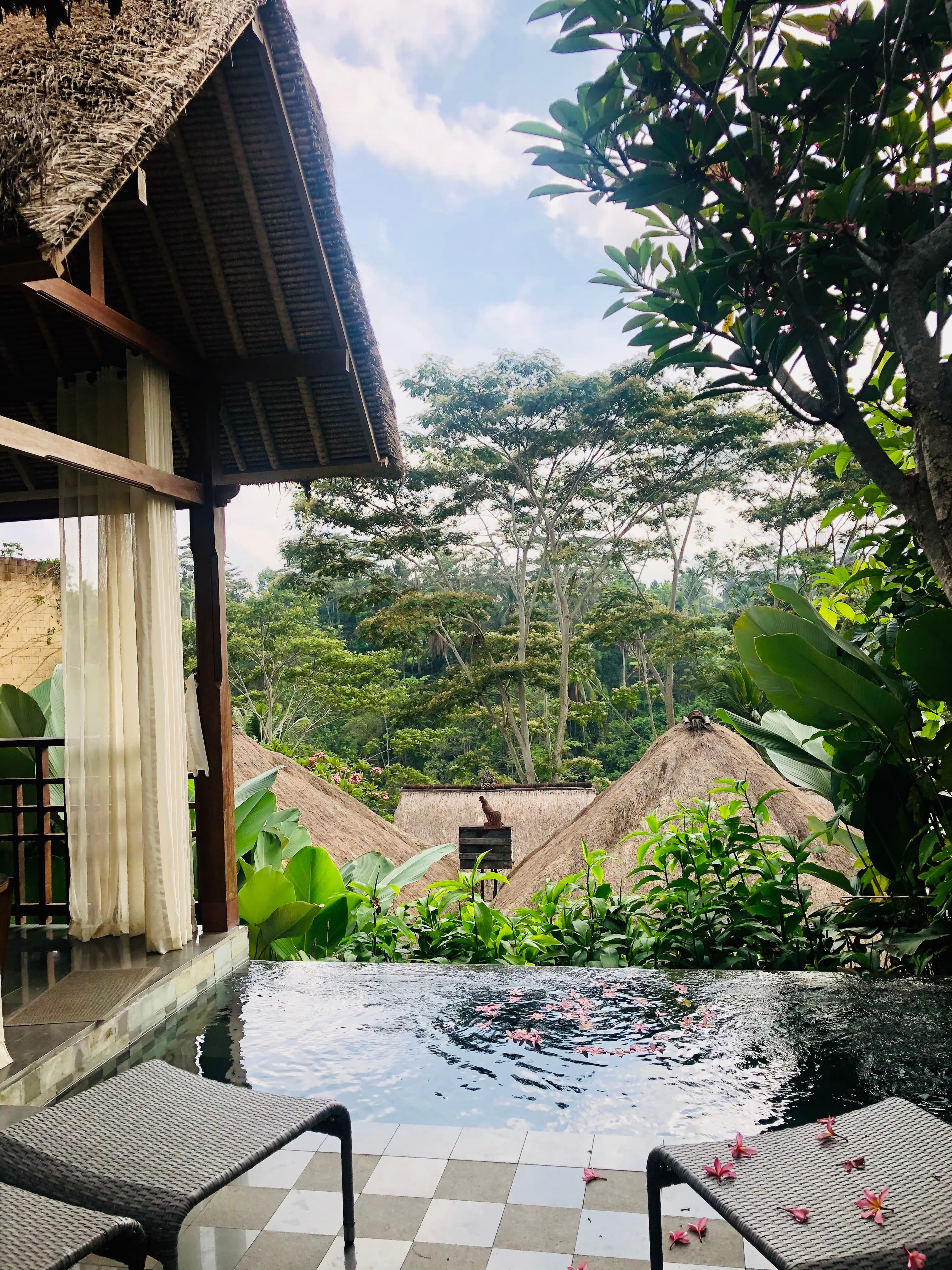A view from a small sitting deck with a dipping pool that faces other buildings with thatched rooftops and a tropical forest in the distance.
