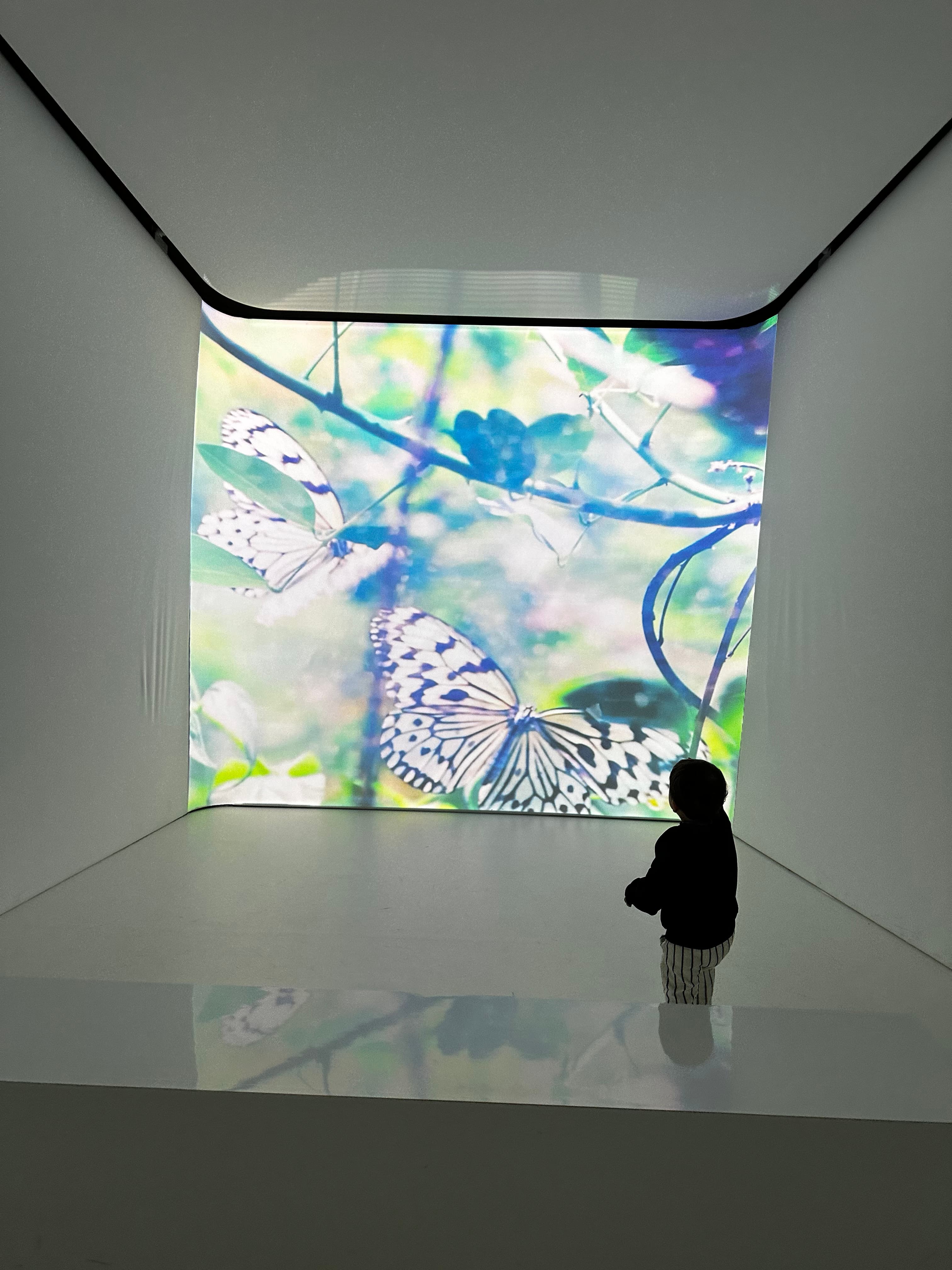 Picture of Carlie watching art