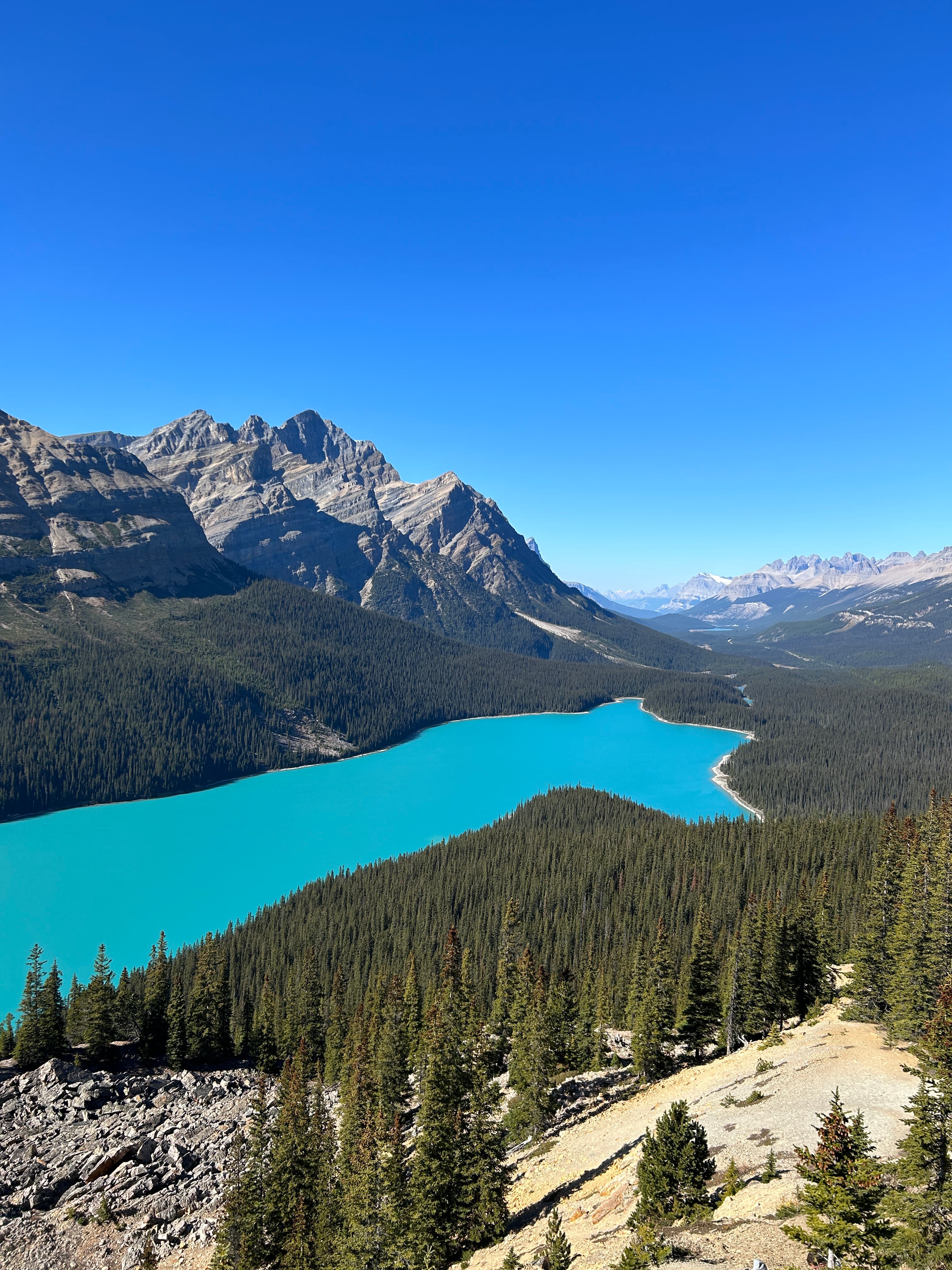 Beautiful view of Peyto Lake