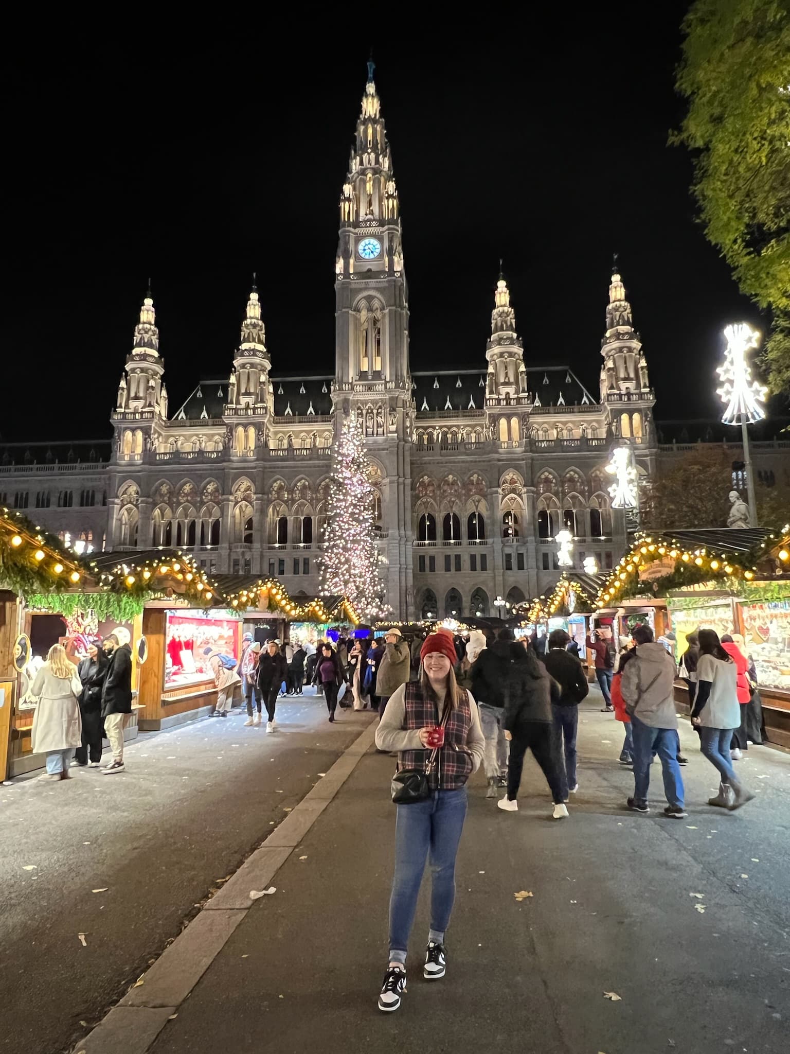 Visiting a Christmas Market in Vienna