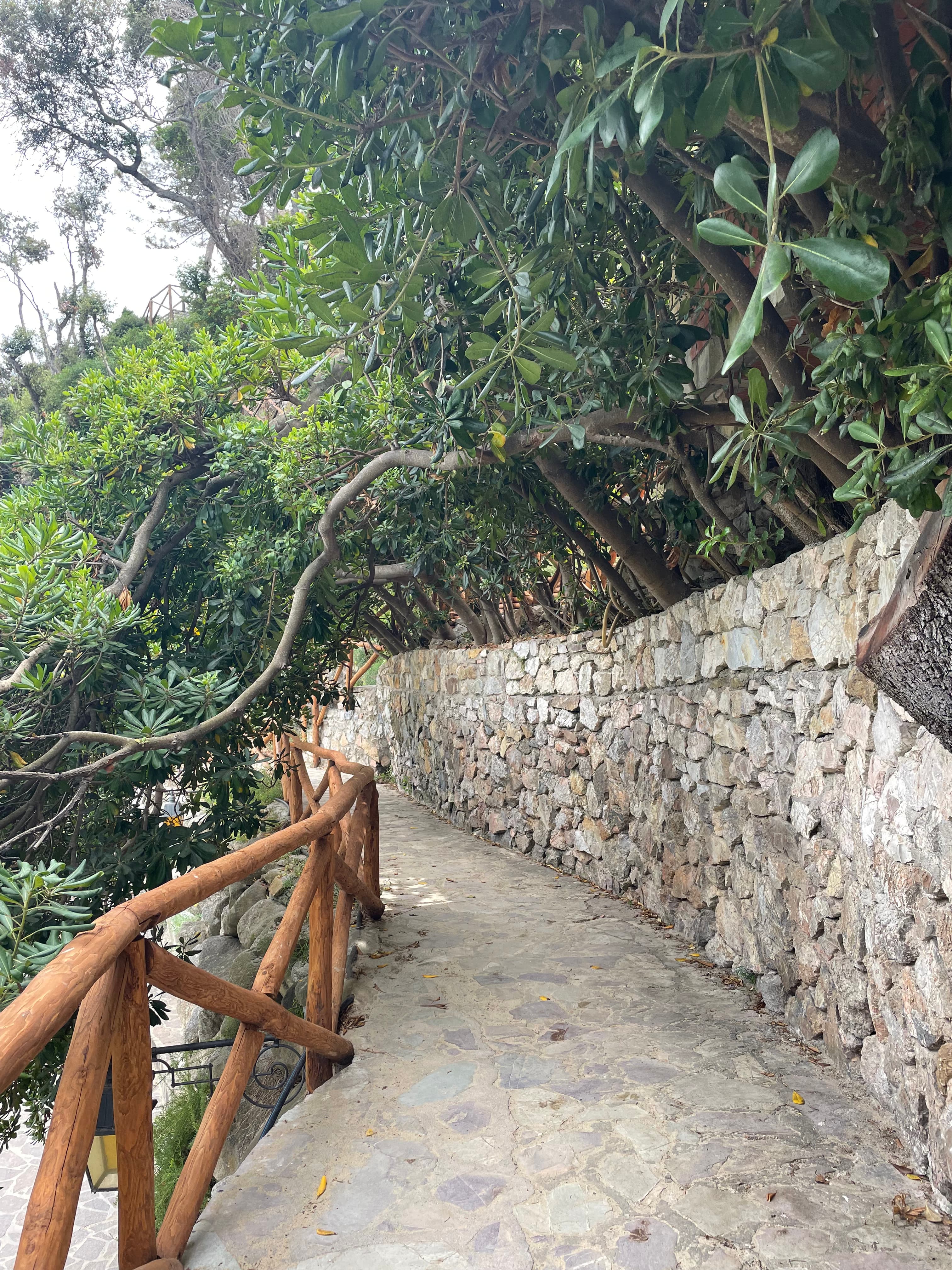 Picture of beautiful path