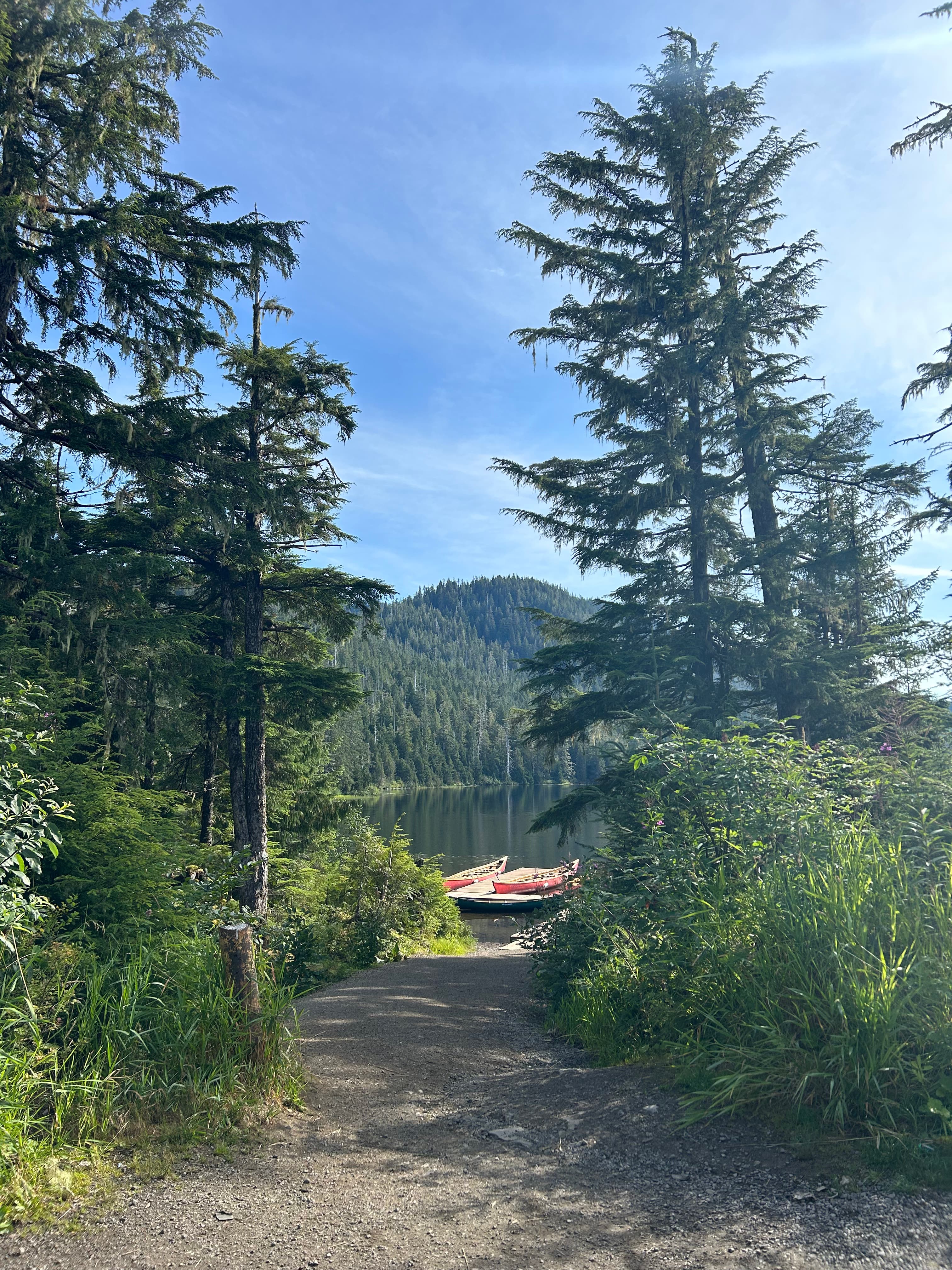 Pictur eof beautiful lake in forest