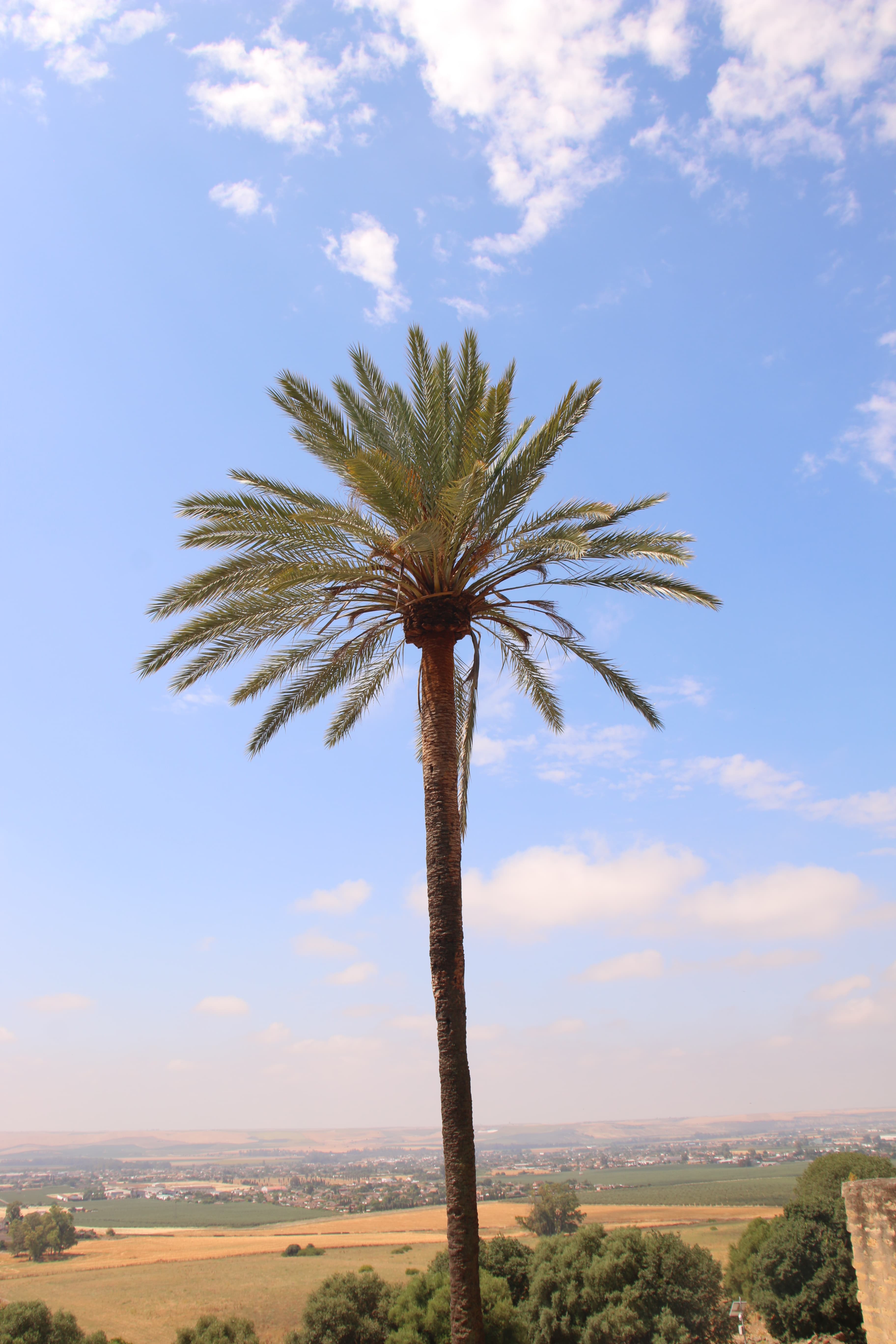 Travel photo 2