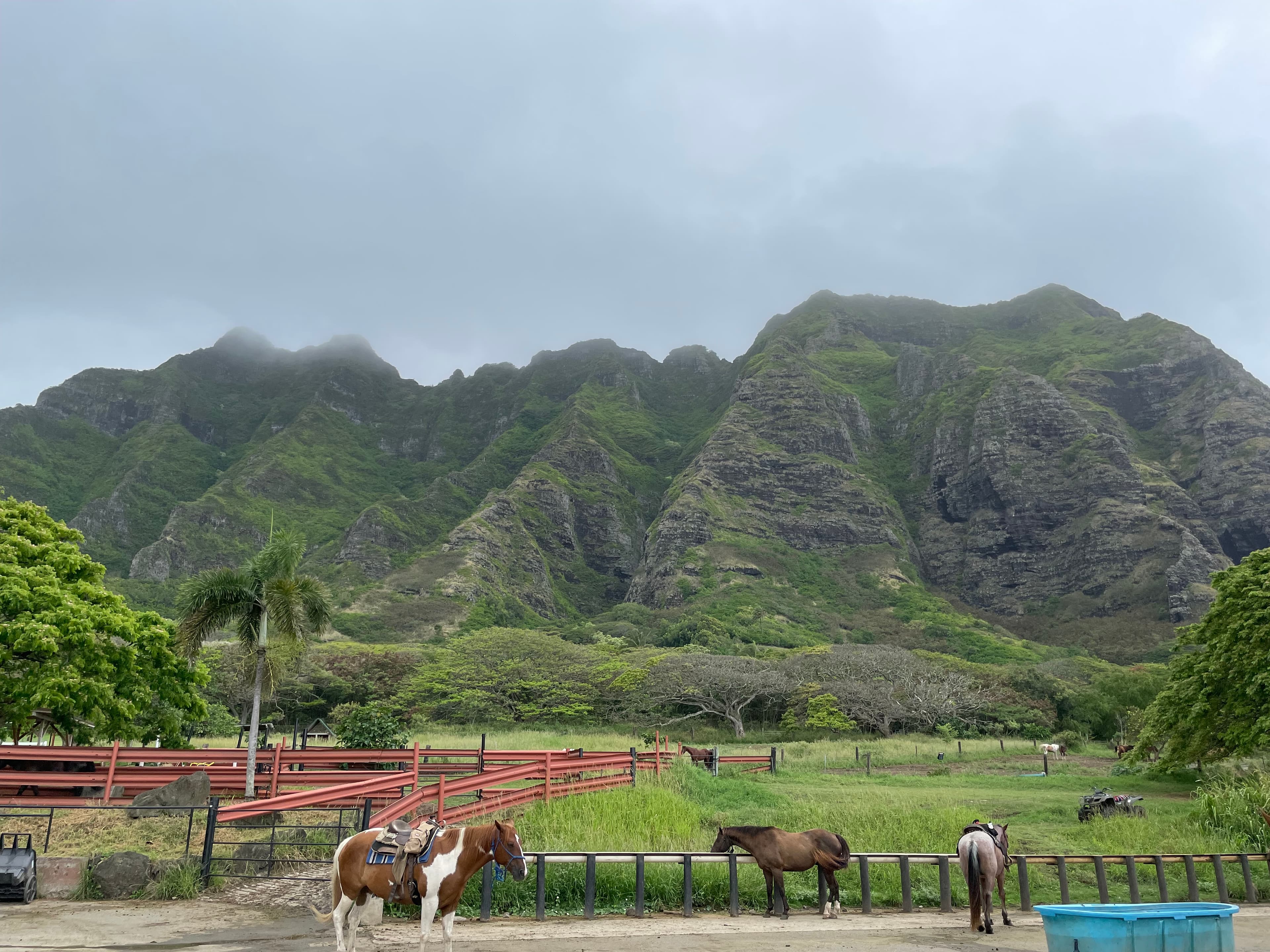 Travel photo 4