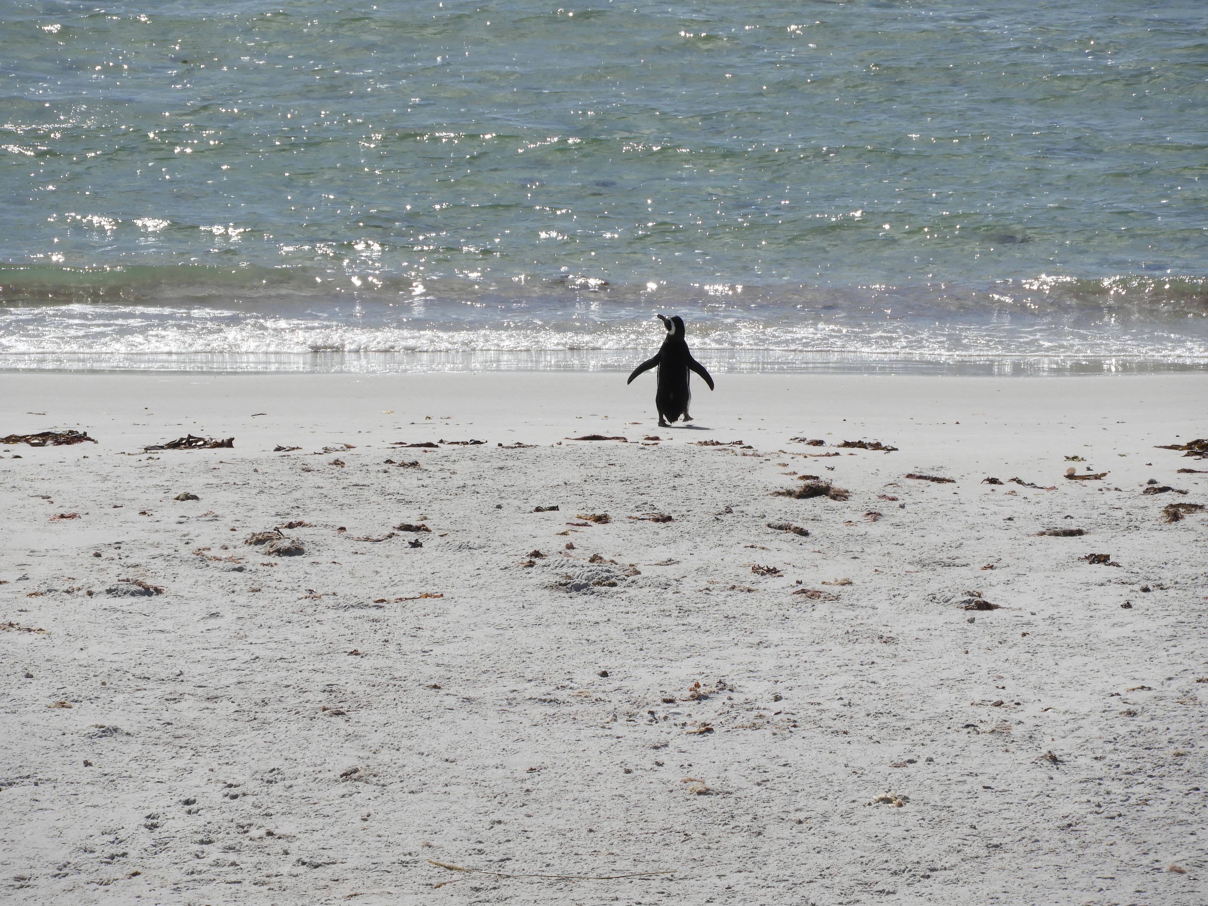 Travel photo 4
