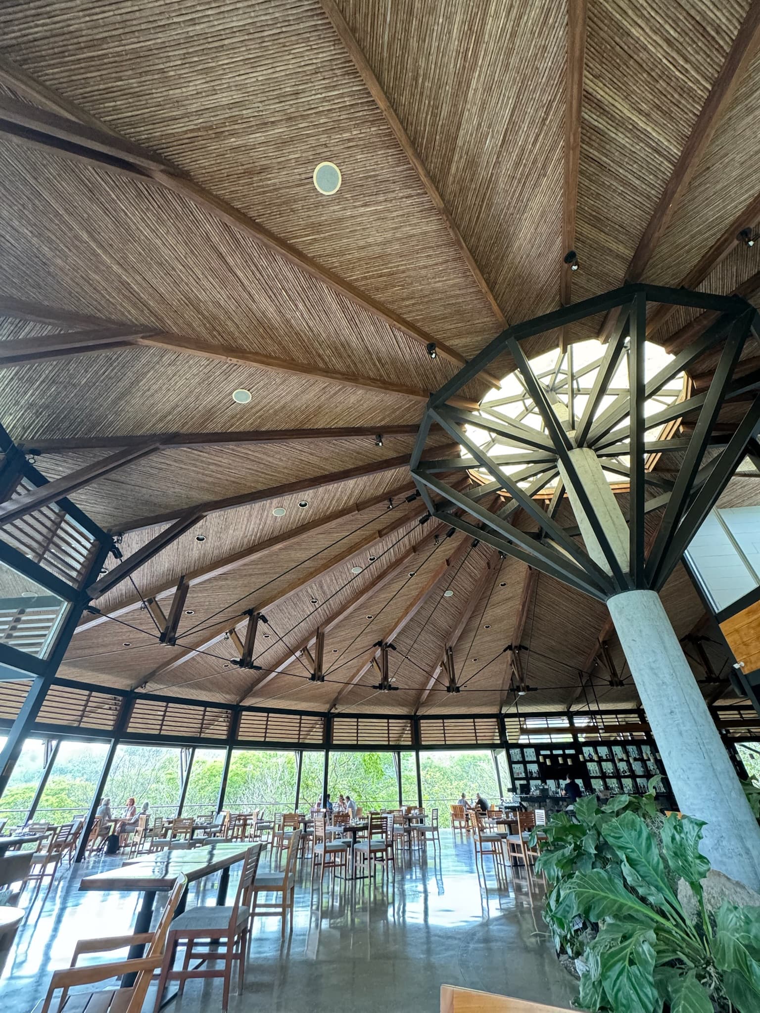 Costa Rica's Hidden Gem: Rio Perdido curated by Olivia Morgan