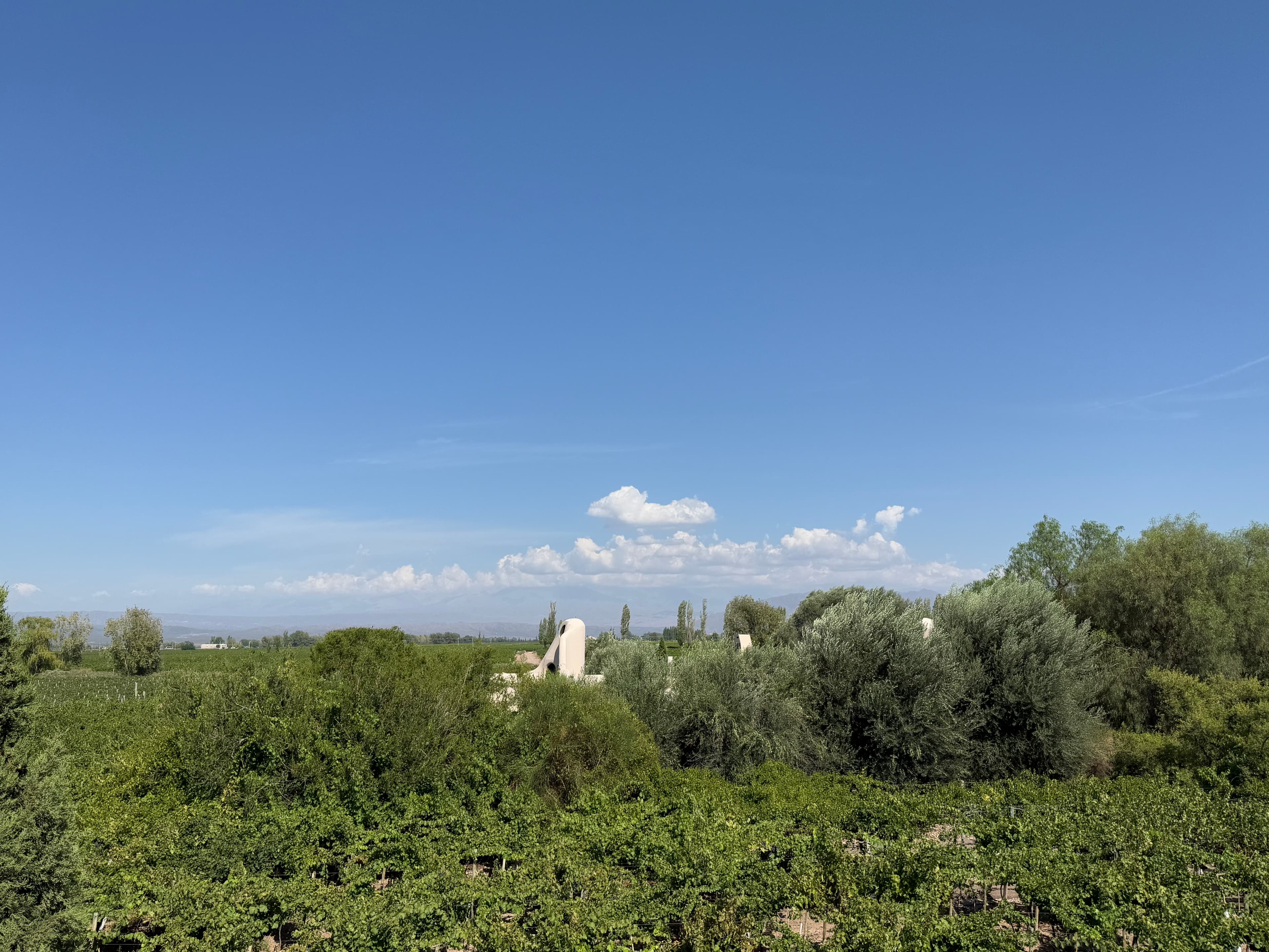 Luxury Stay Among Vineyards curated by Jenn Kimble