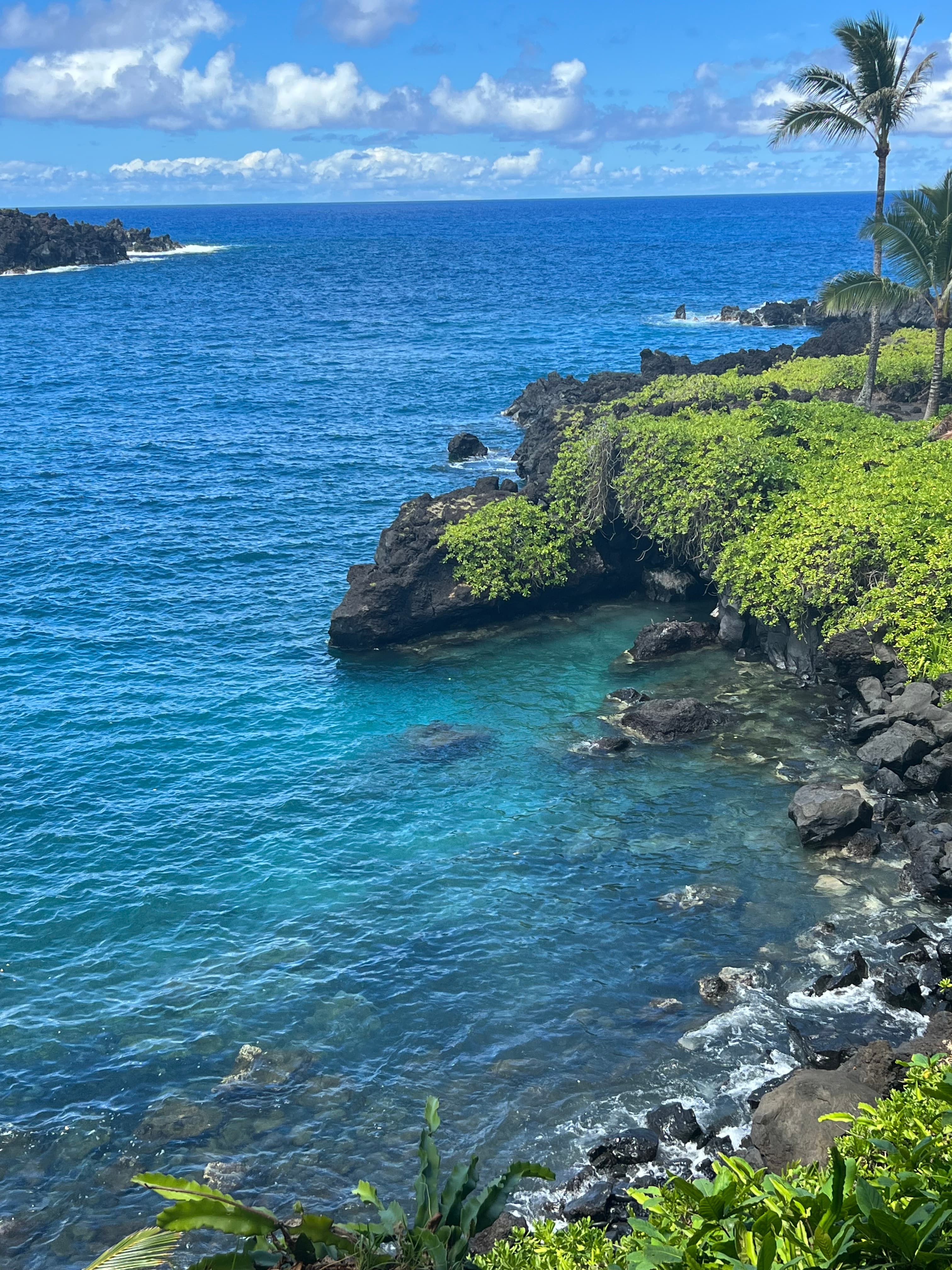 An Unforgettable Vacation Experience: Maui, Hawai'i curated by Chevetta Henry