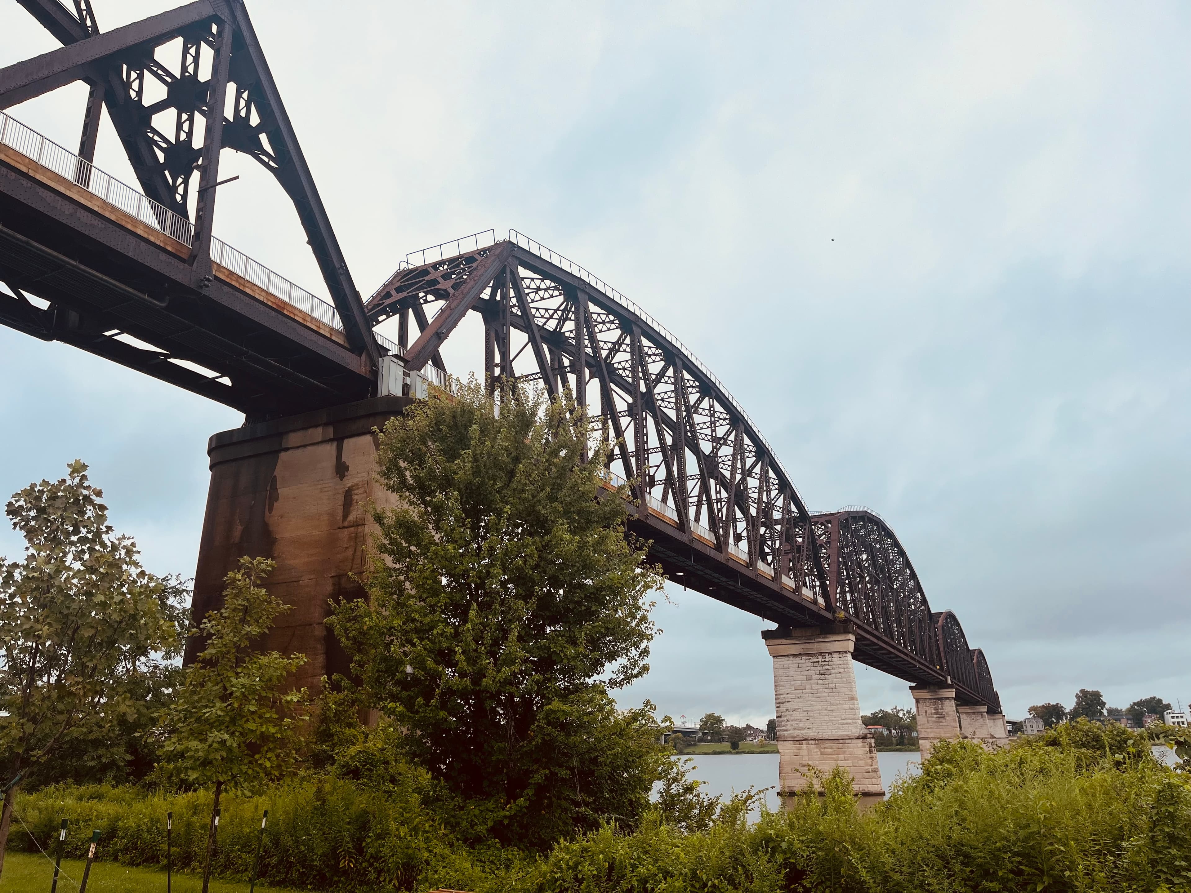 Lovely Louisville curated by Emily Fernandez