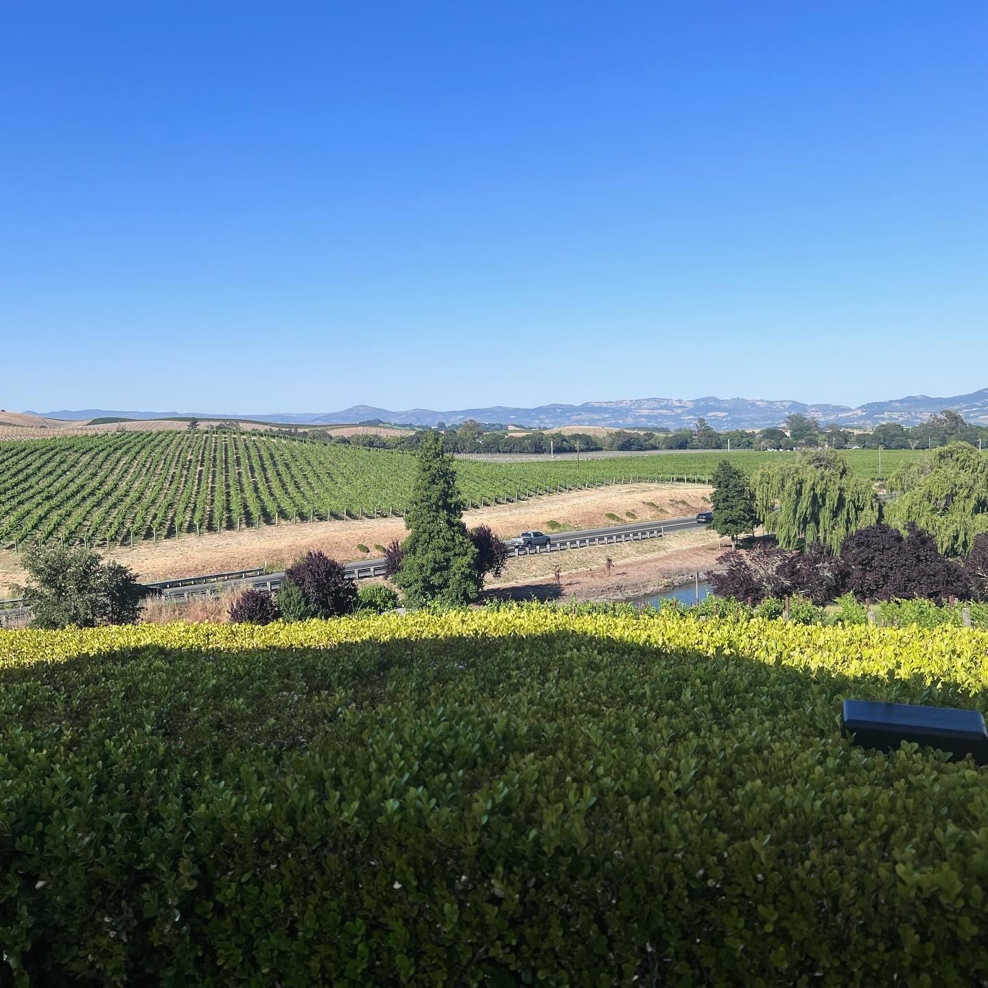 Girls’ Getaway: Four Days in California Wine Country curated by Whitney Kendall