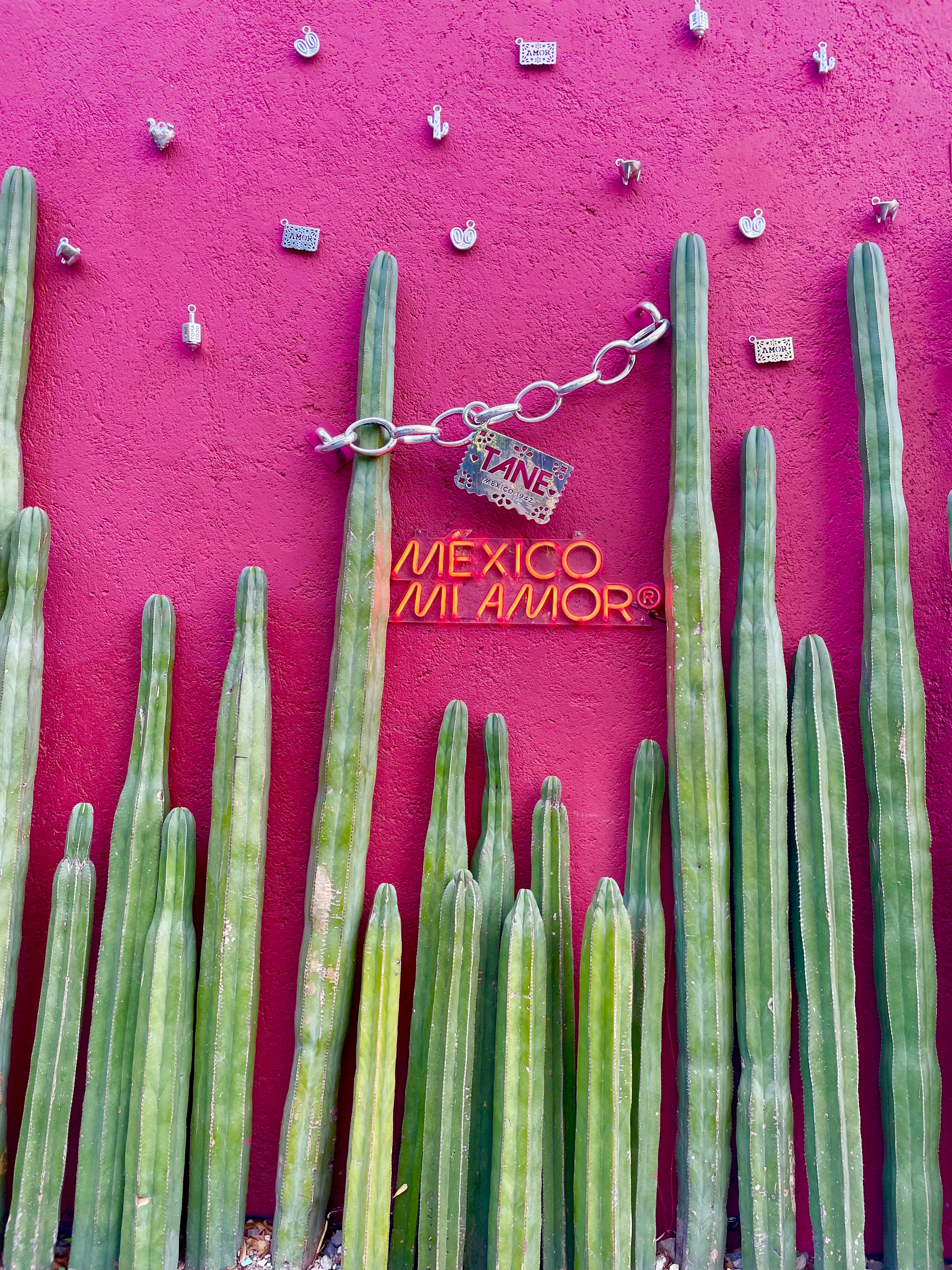 Mexico City Travel Guide: Food, Culture & Adventure curated by Lorena Correal