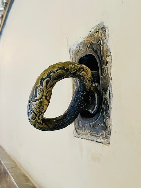 Savoring CDMX: A Foodie and Explorer's Guide to Mexico City curated by Manna Patel