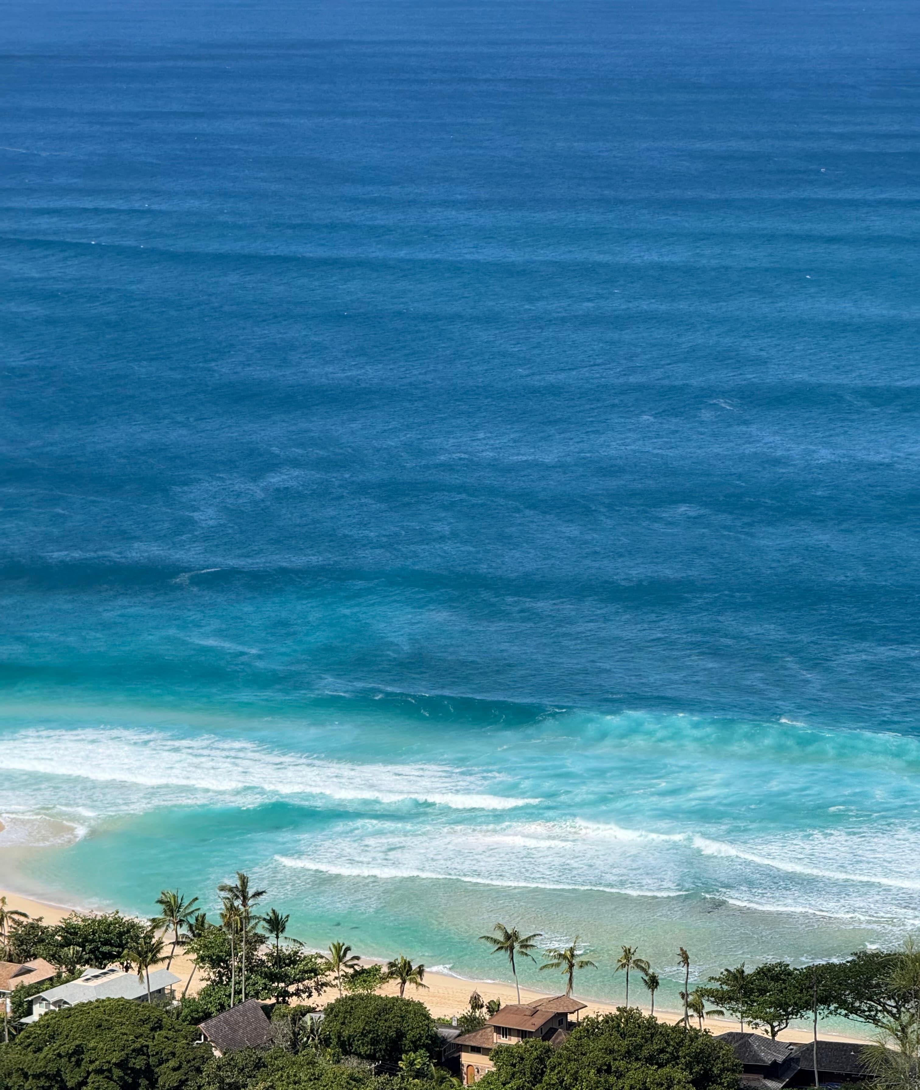Luxury Stay, Local Experience: The Best of Both on Oahu curated by Dani Garcia