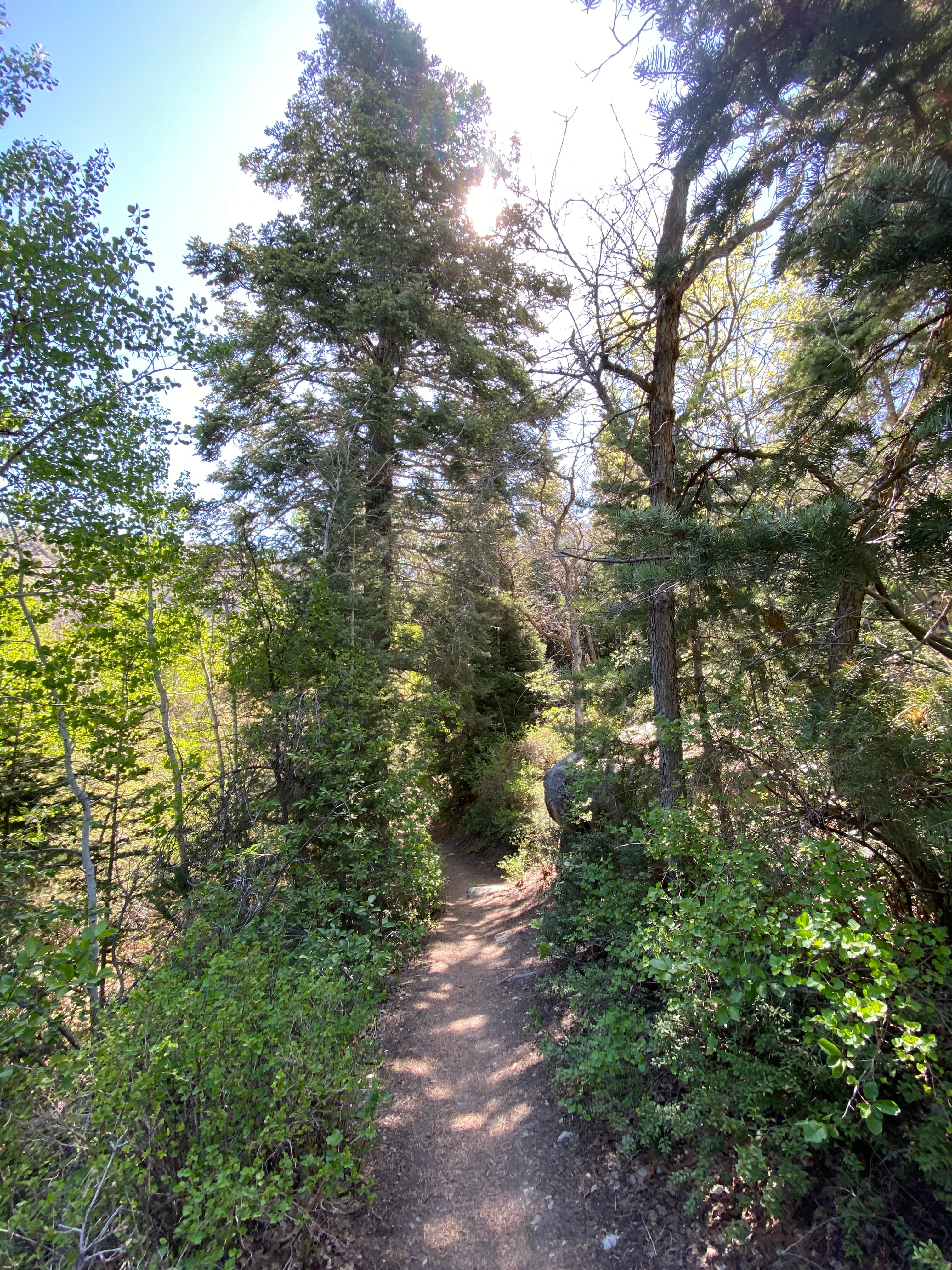 Salt Lake City: 4 Days Is Too Short curated by Anna Reid