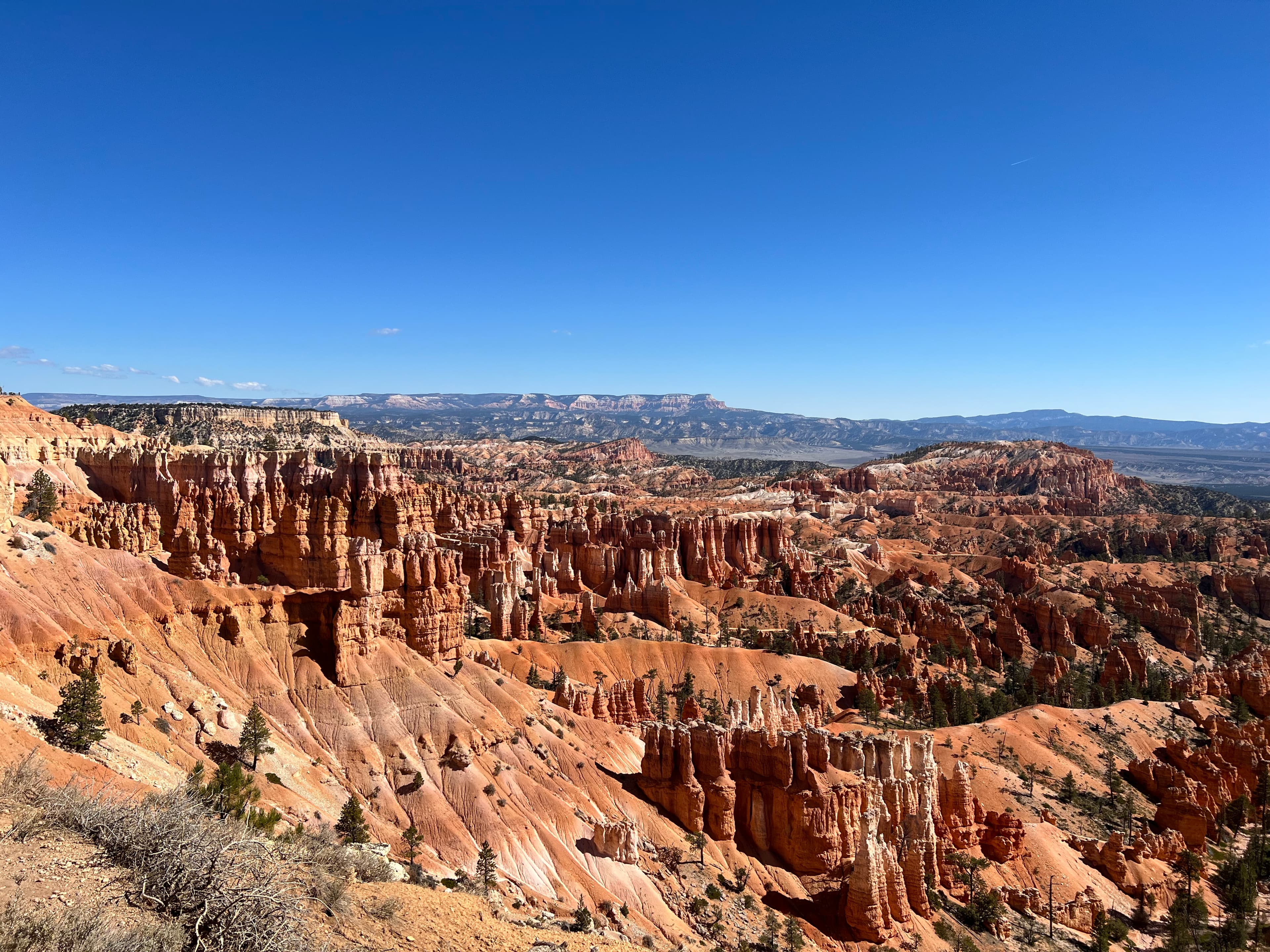 A Nine-Day Journey Through Utah & Arizona's National Parks curated by Rachel C Levy