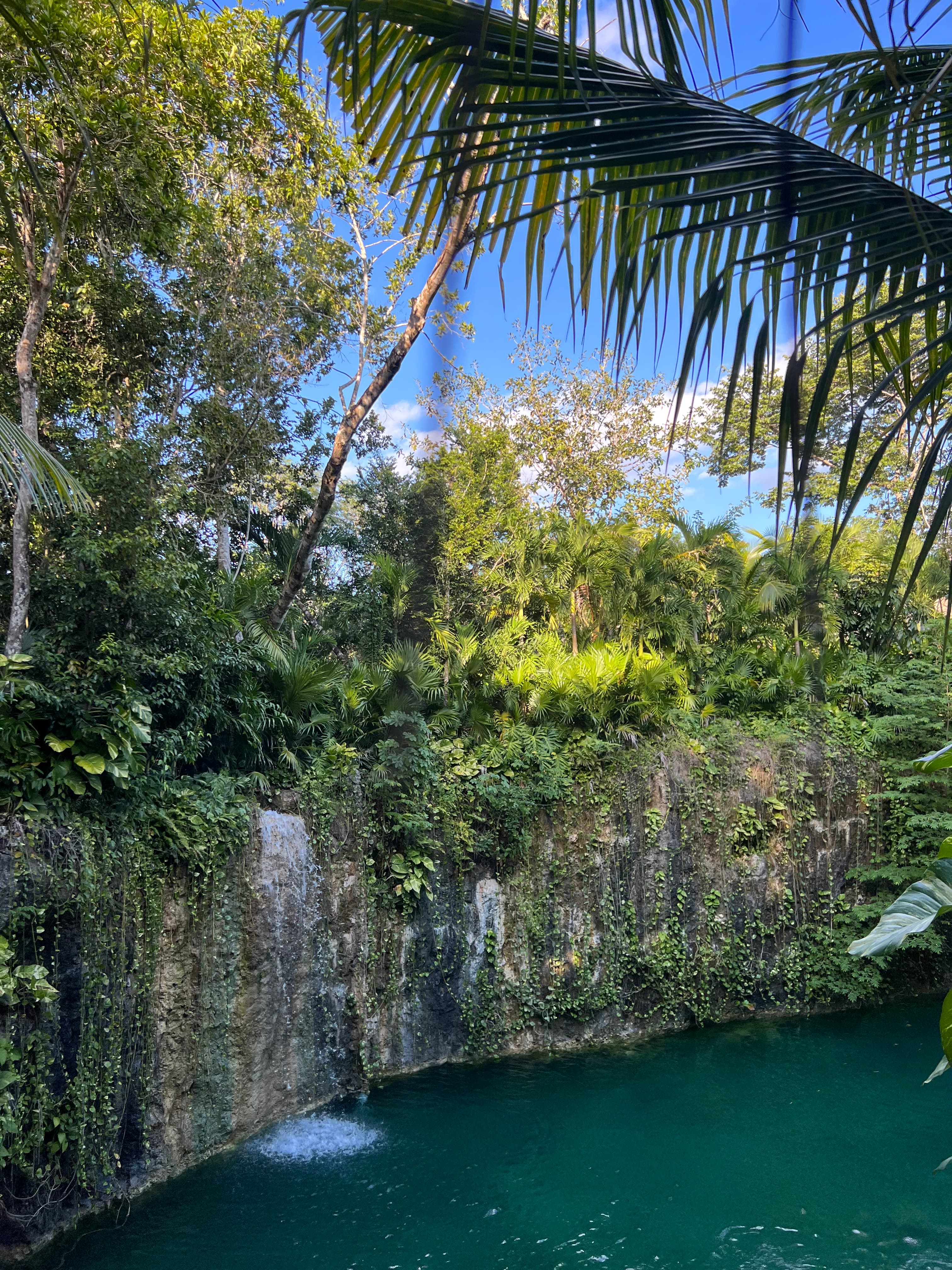 Sacred Waters: A Cenote Guide to the Riviera Maya curated by Melissa Pacheco
