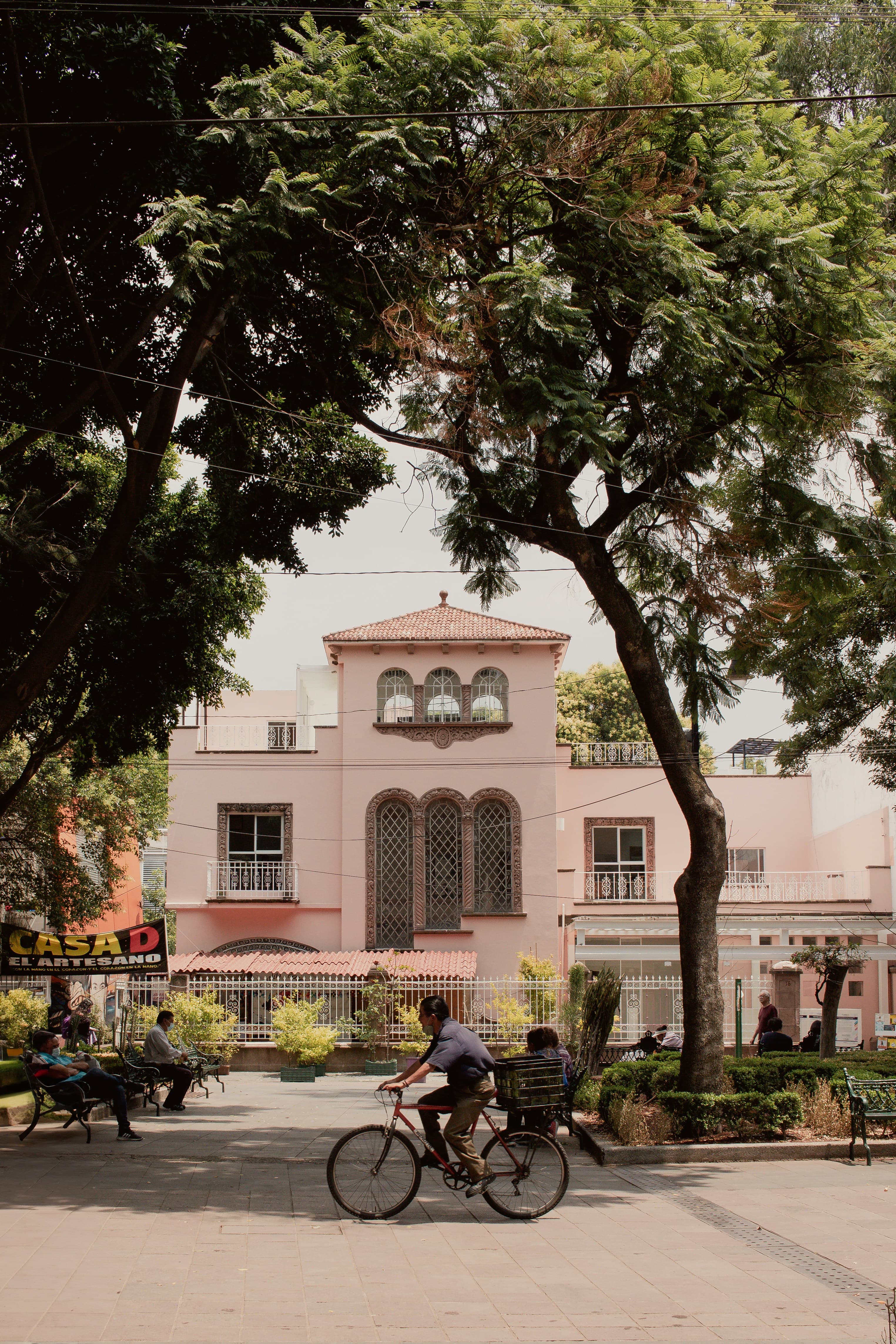Why Coyoacán Deserves More Than Just a Day Trip on Your Next Mexico City Trip curated by Steph Tanner