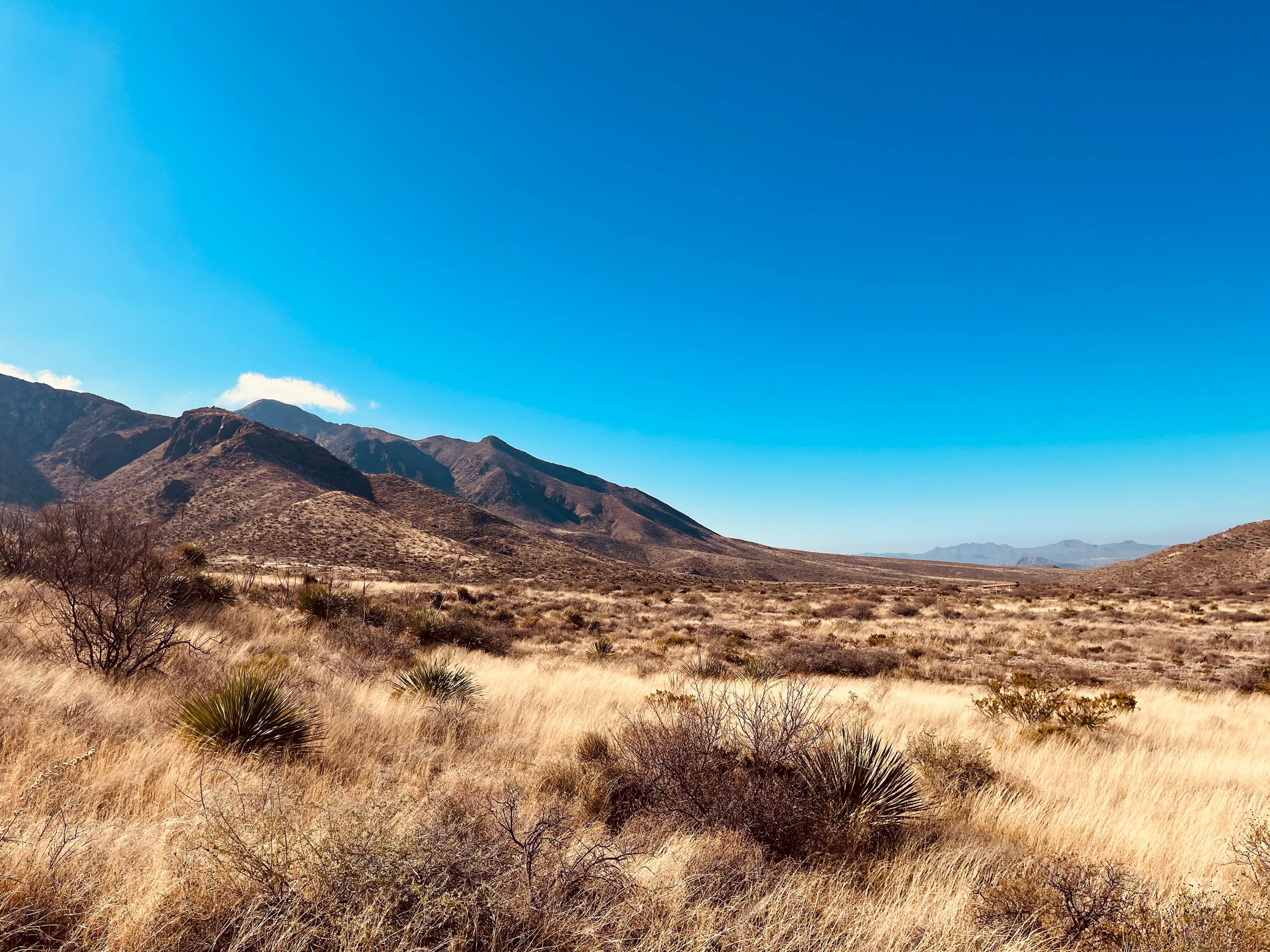 El Paso Escape curated by Emily Fernandez