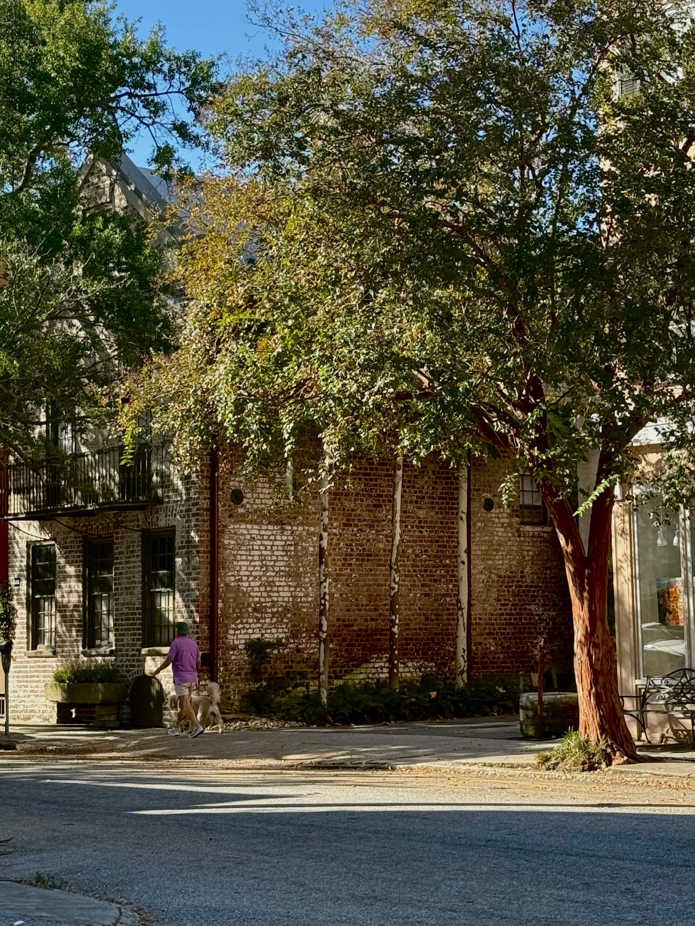 Charmed by Charleston: A Perfect Fall Weekend Getaway curated by Joanna Vinick