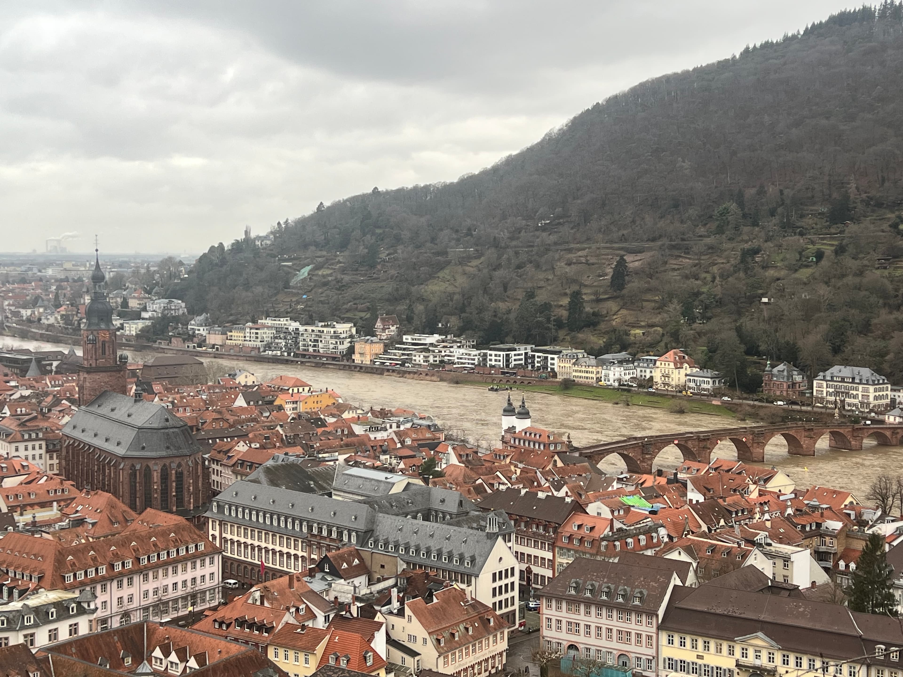 Five Reasons to Book a Viking River Cruise curated by Lori Wattelet