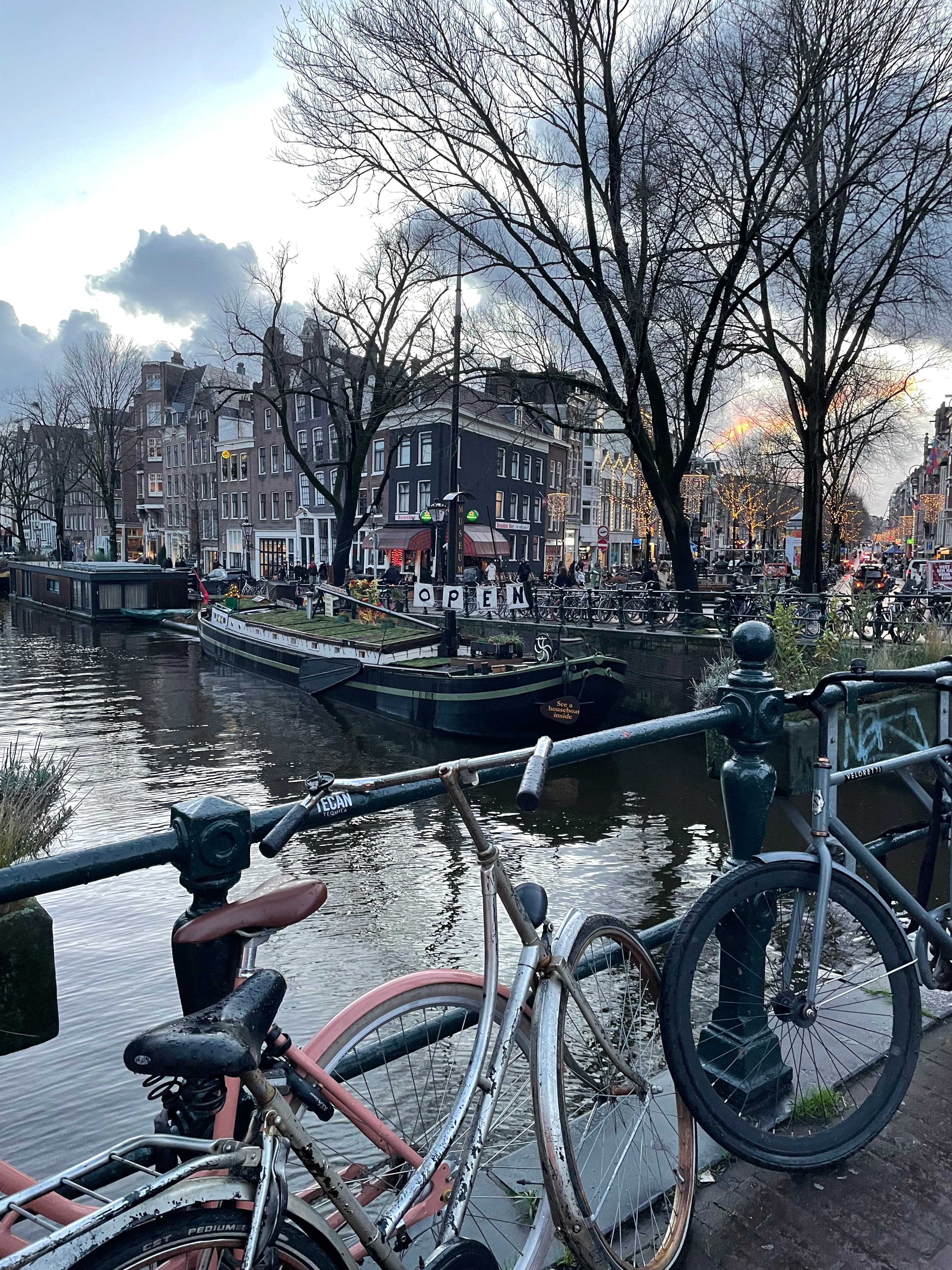 Three-Day Winter Trip to Amsterdam curated by Hillary Janvrin