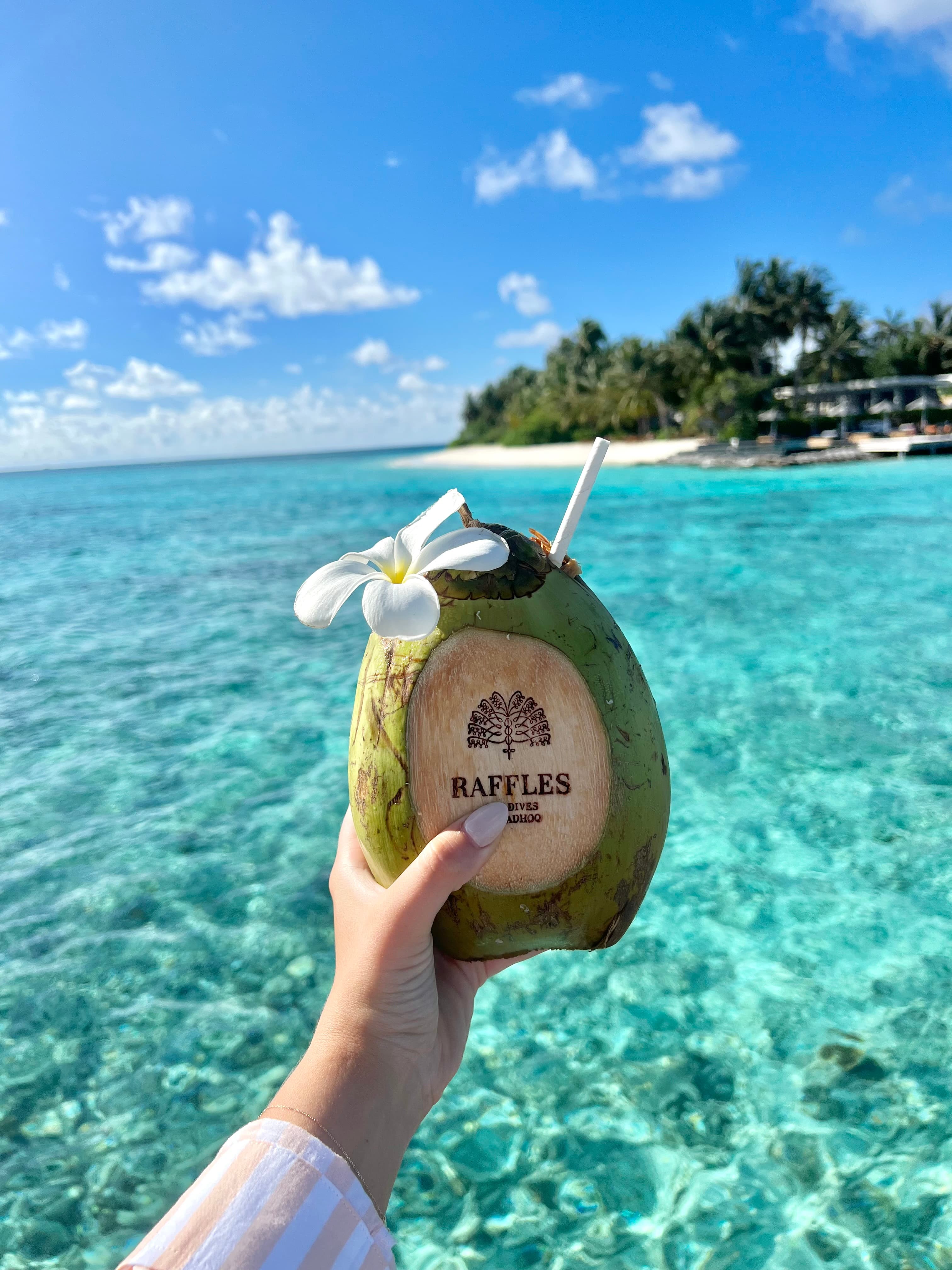 Overwater Luxury in the Maldives: Our Unforgettable Raffles Honeymoon curated by Dani Garcia