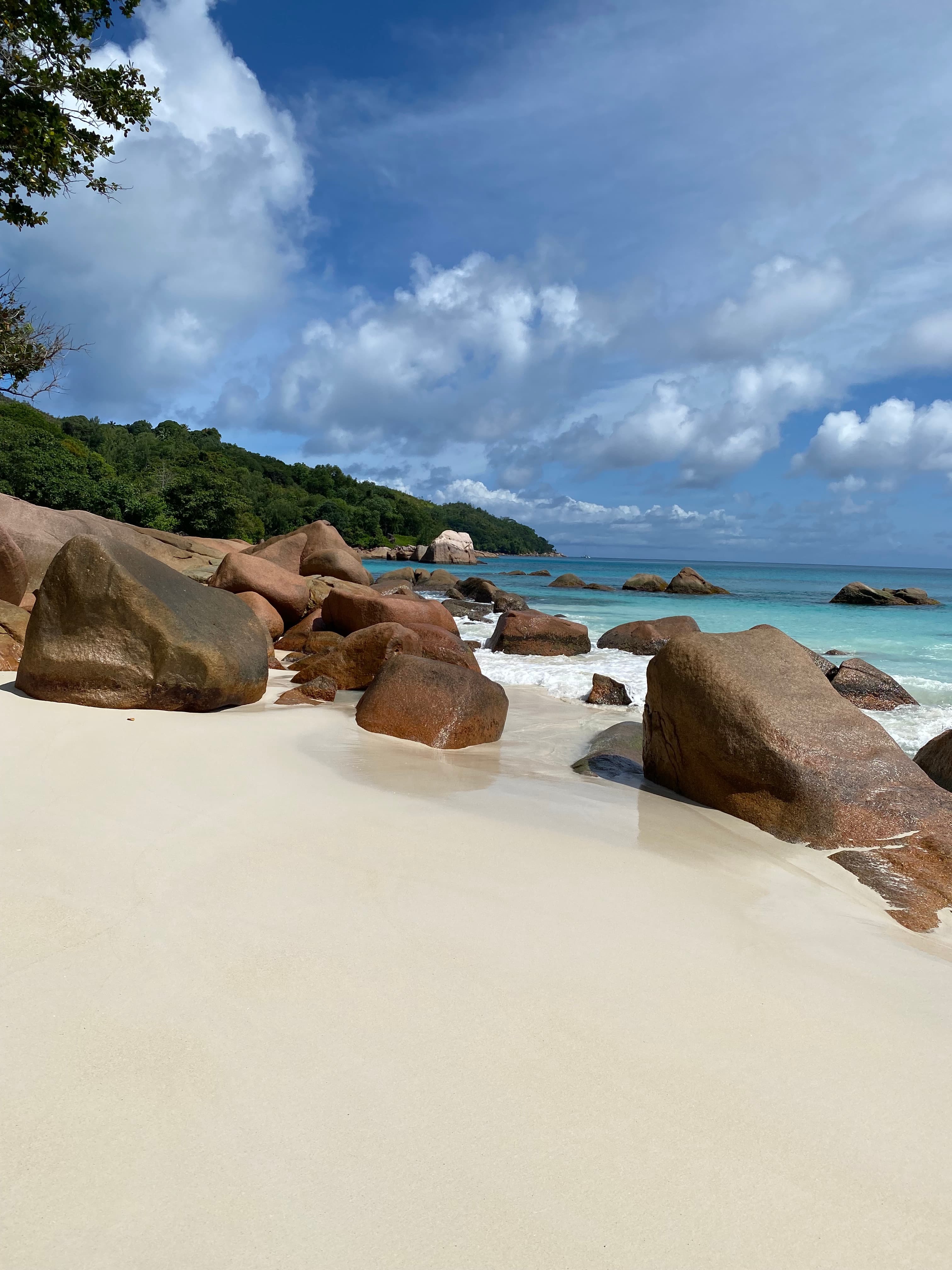 Beachside Paradise: 9 Days in Seychelles curated by Melissa McDonald