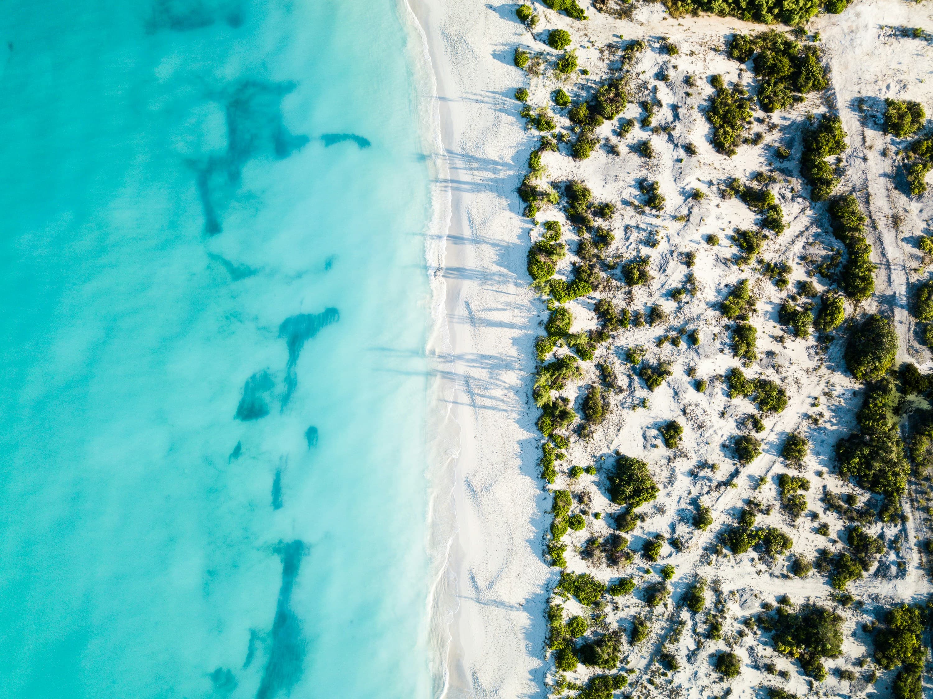 Turks & Caicos Guide: The Ultimate Escape curated by Annie Goldman