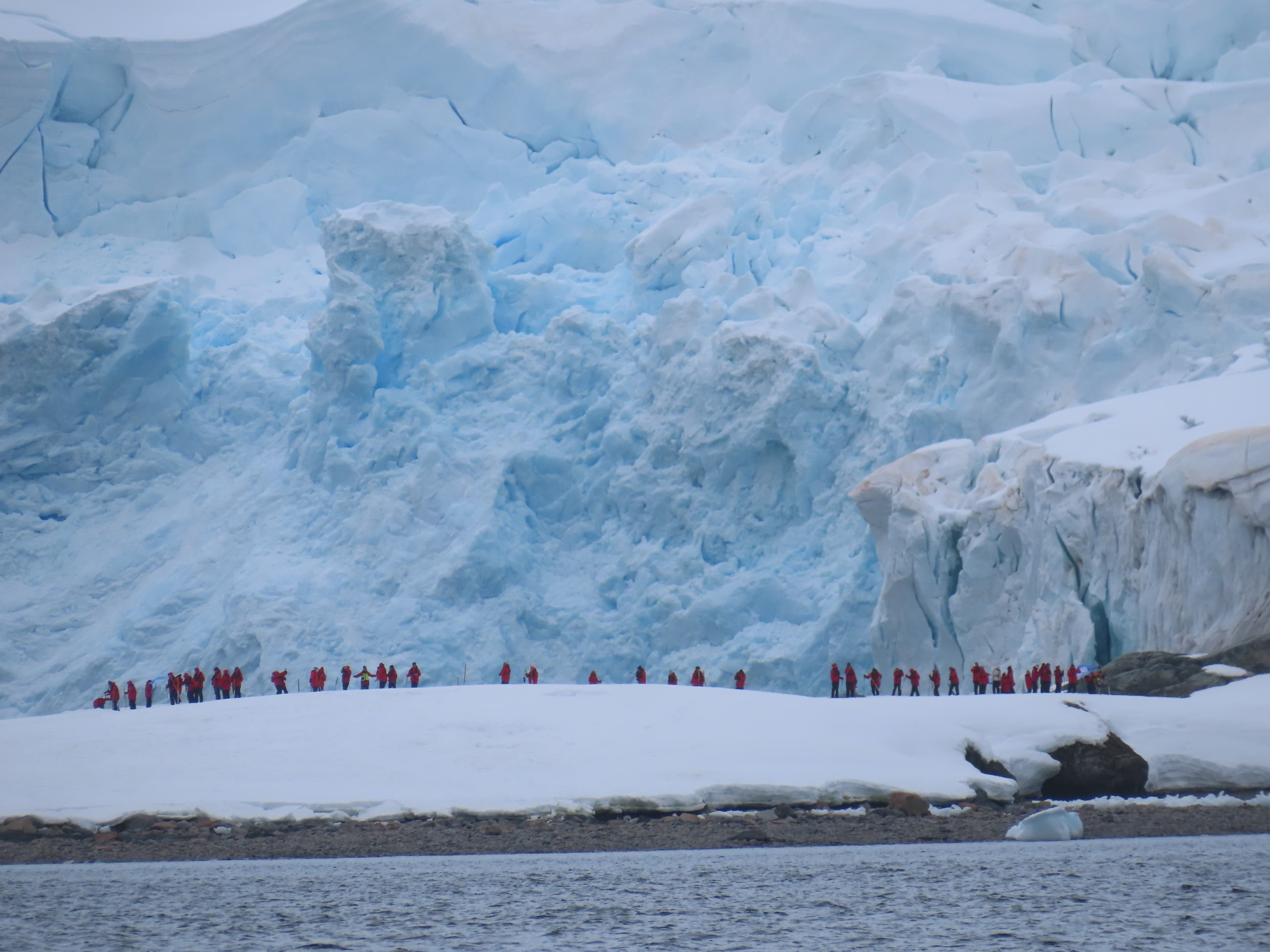 Amazing Antarctica with Viking curated by Mei-Mei Kirk