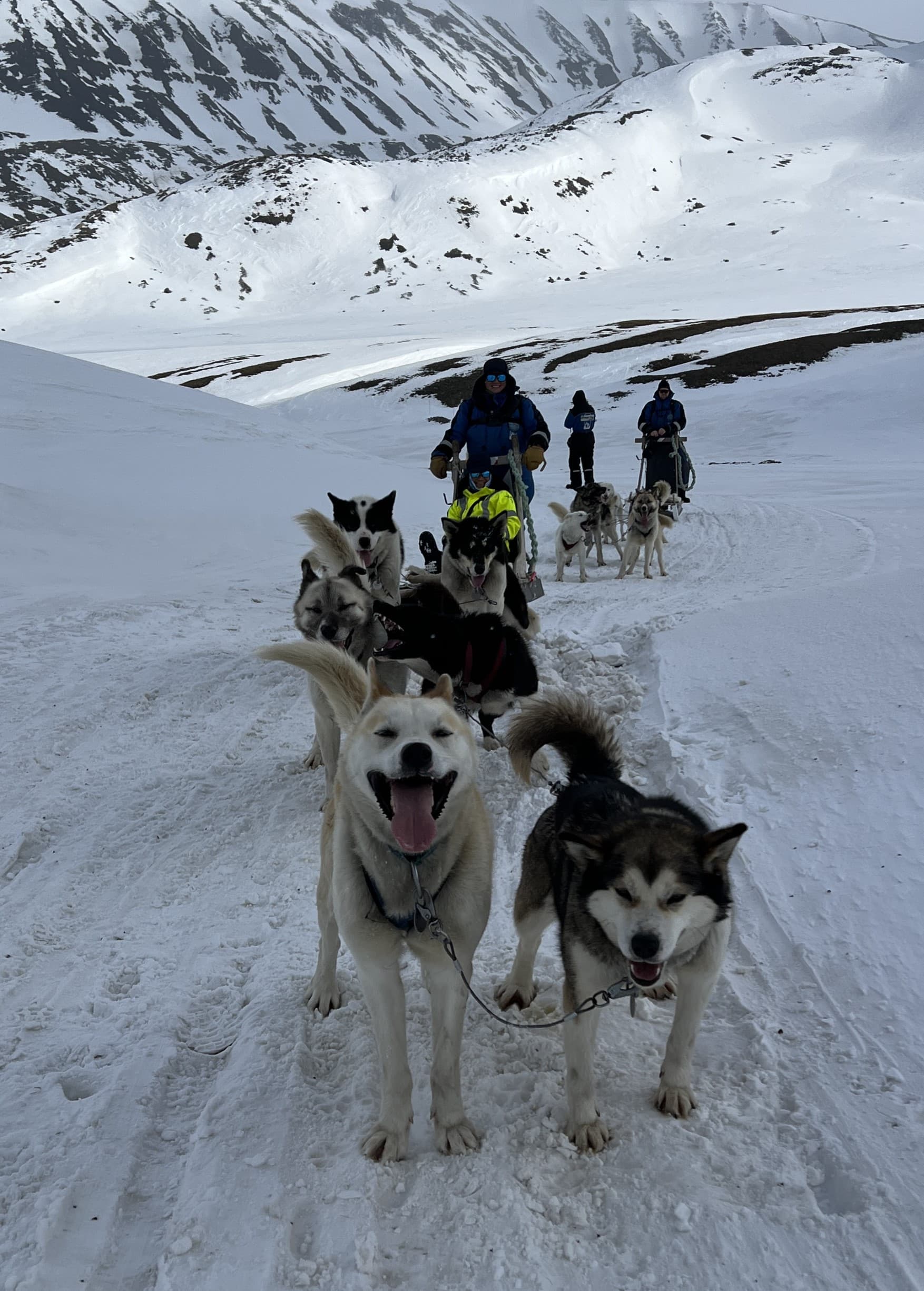 Adventures in Longyearbyen: 3 Days at the Top of the World curated by Mei-Mei Kirk
