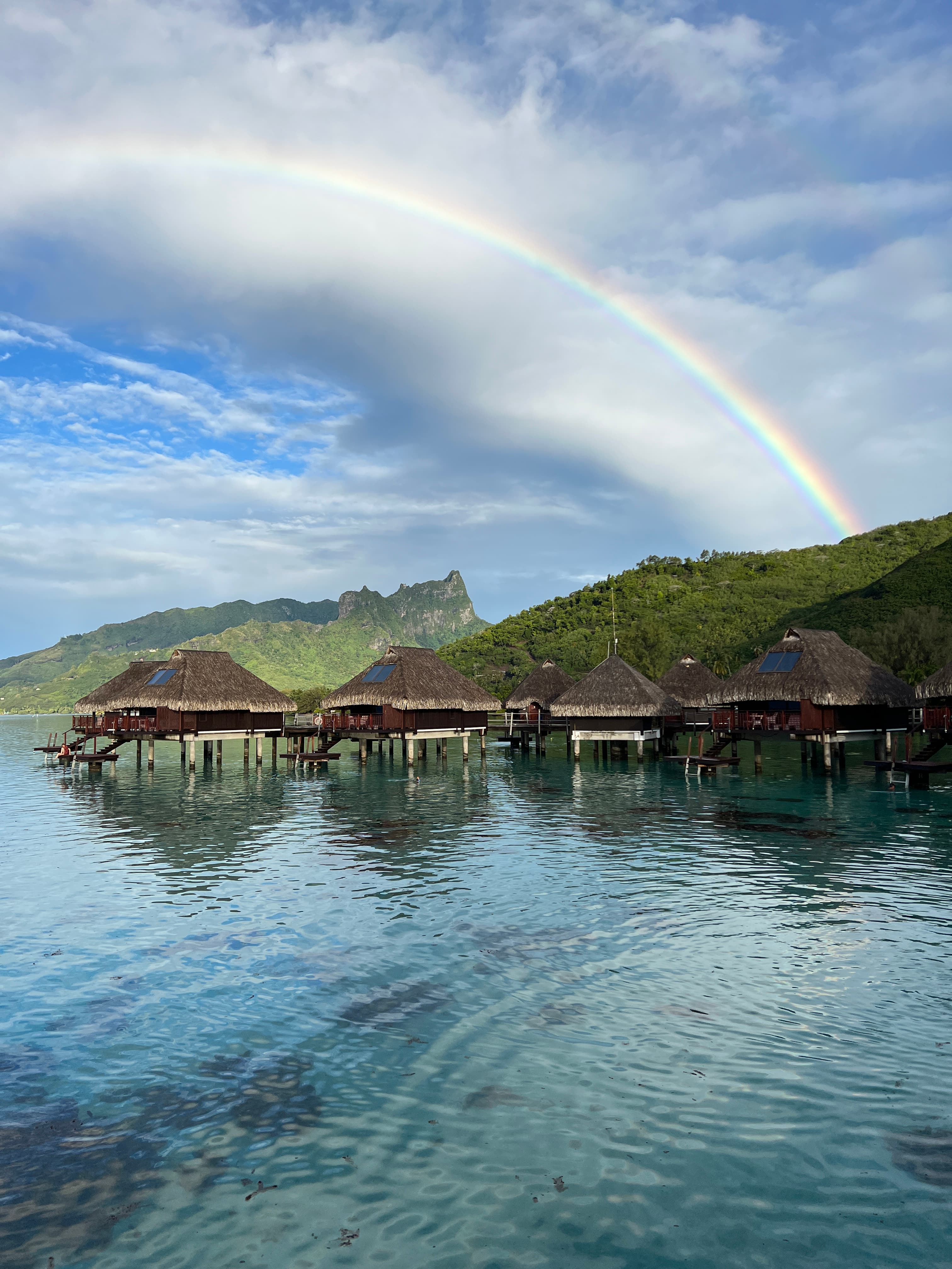 12 Days in Paradise: The Hilton Moorea and St. Regis Bora Bora curated by Mei-Mei Kirk