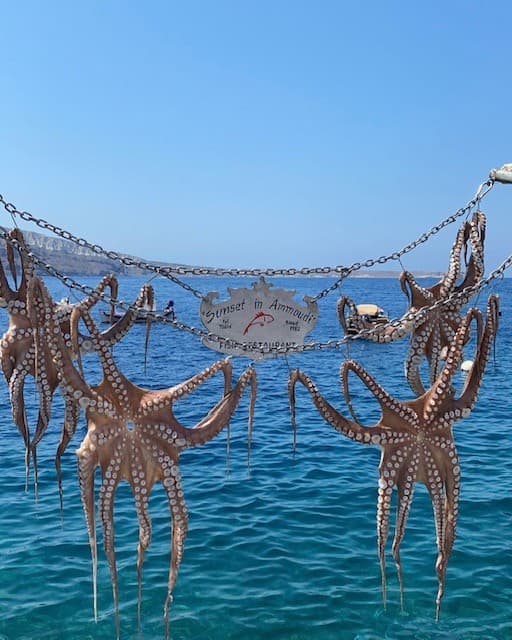 Cycladic Bliss: Sifnos, Milos & Santorini in 9 days curated by Angelica Zureikat