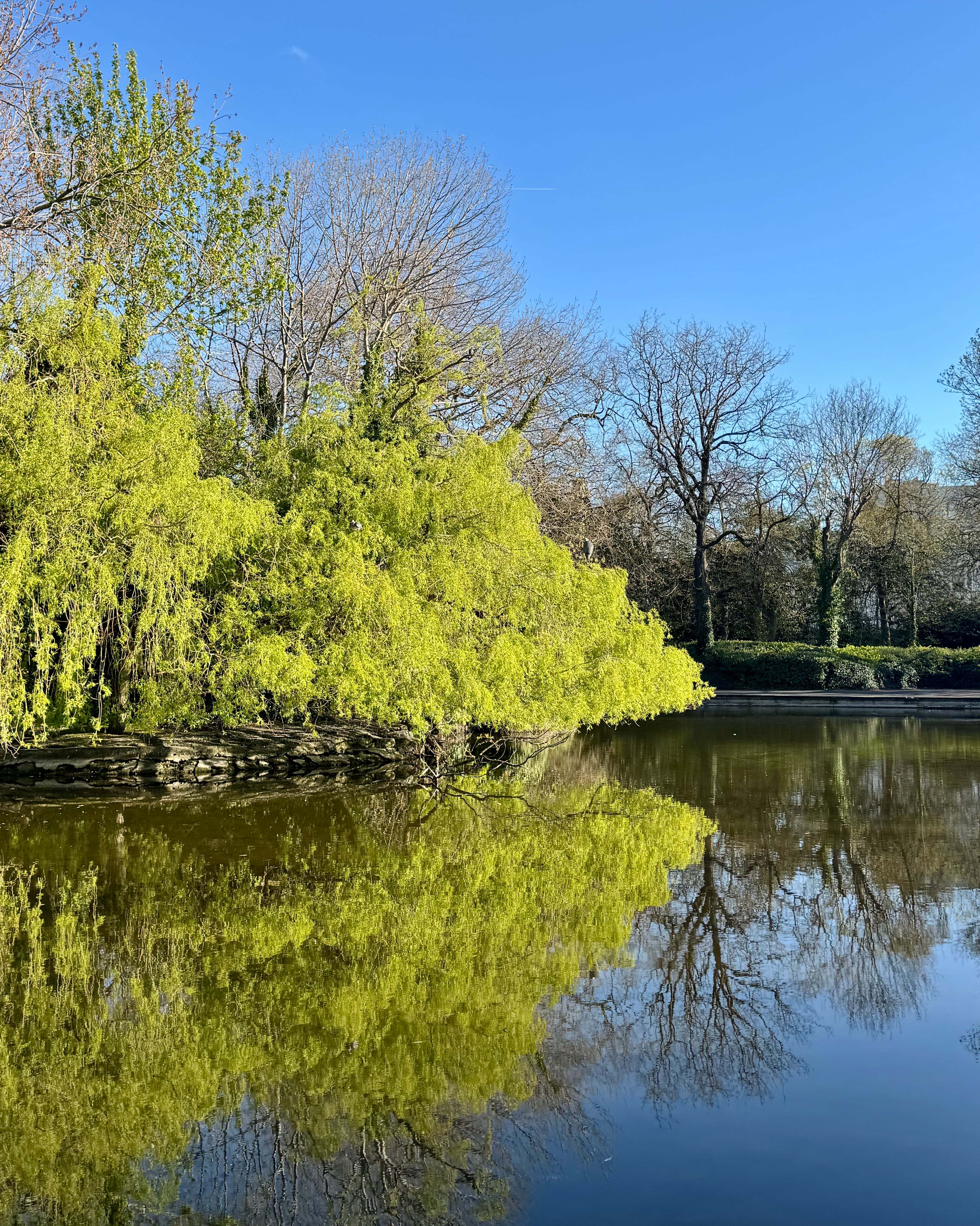 A Breath of Fresh Éire: A Spring Weekend in Dublin curated by Carrie Schrum