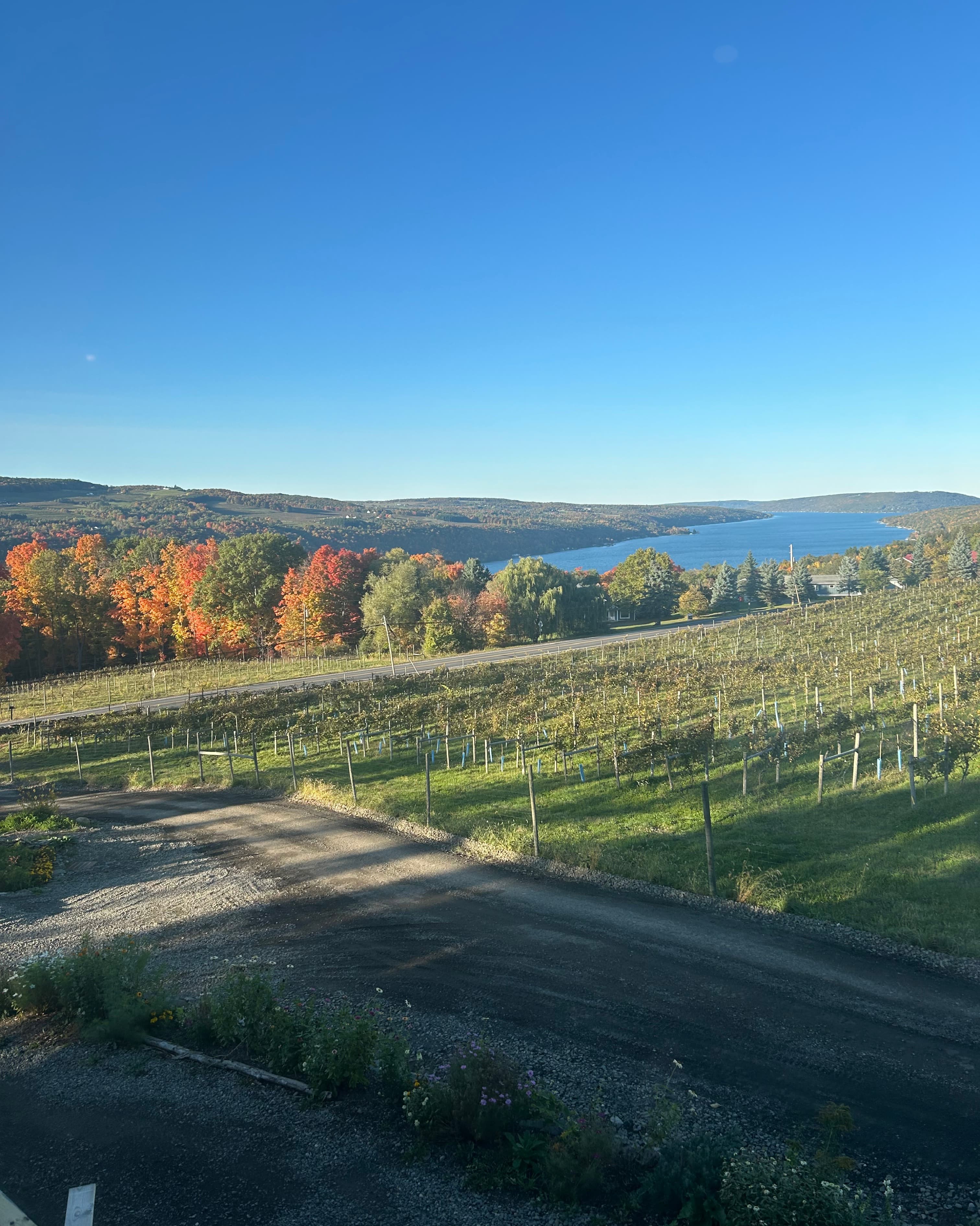 Wine, Waterfalls and Wandering - Exploring New York's Finger Lakes Region curated by Laura O'Donnell