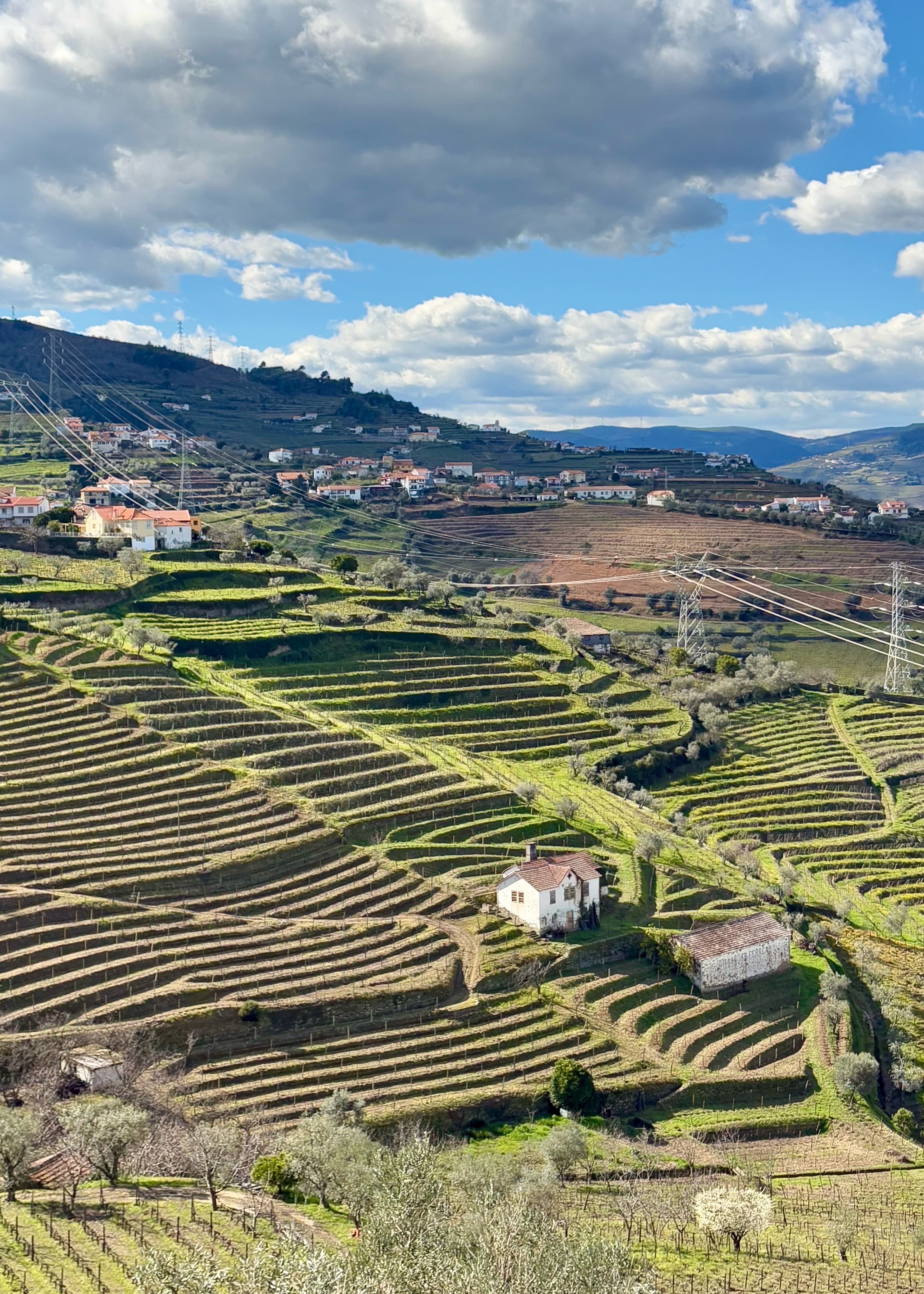 Two Nights at Casal dos Capelinhos - Douro Valley curated by Reagan Keller