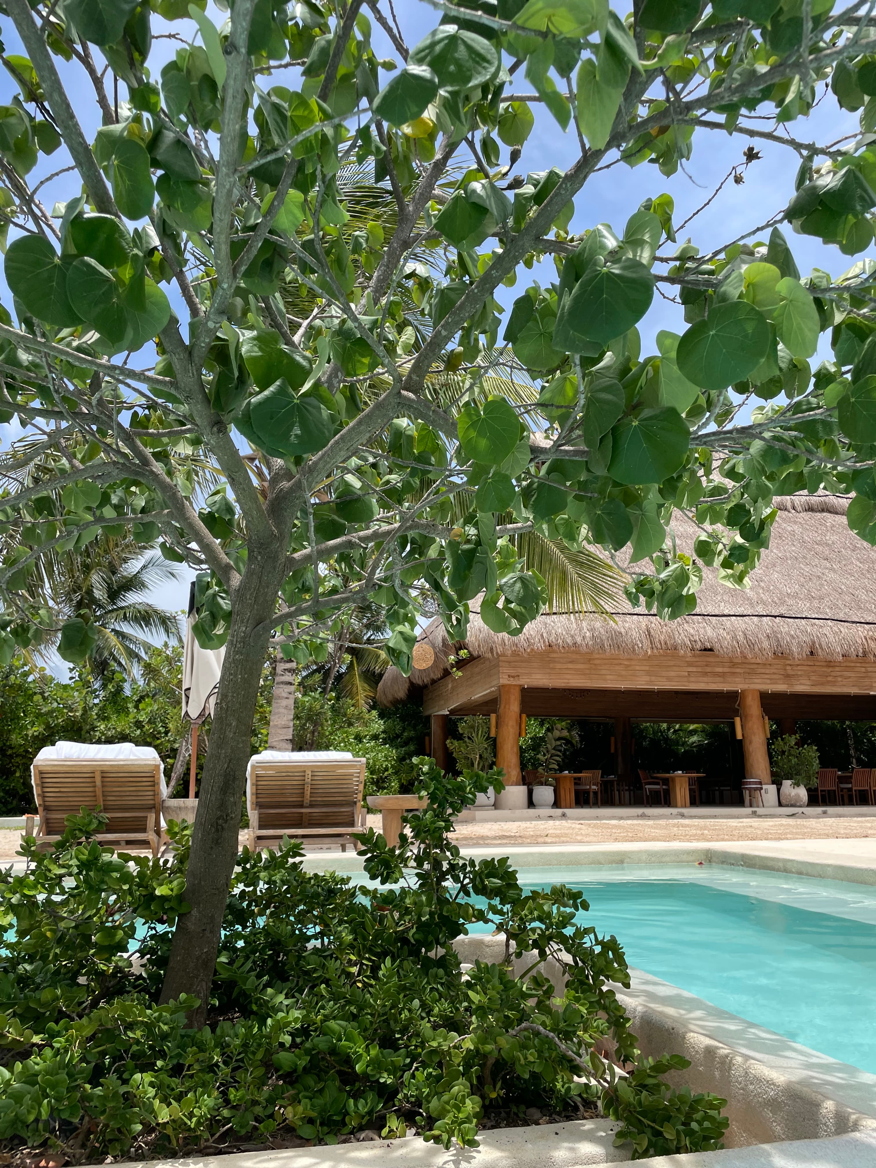 Rosewood Mayakoba in Riviera Maya: My Daughter’s Favorite Vacation curated by Marlan Willardson