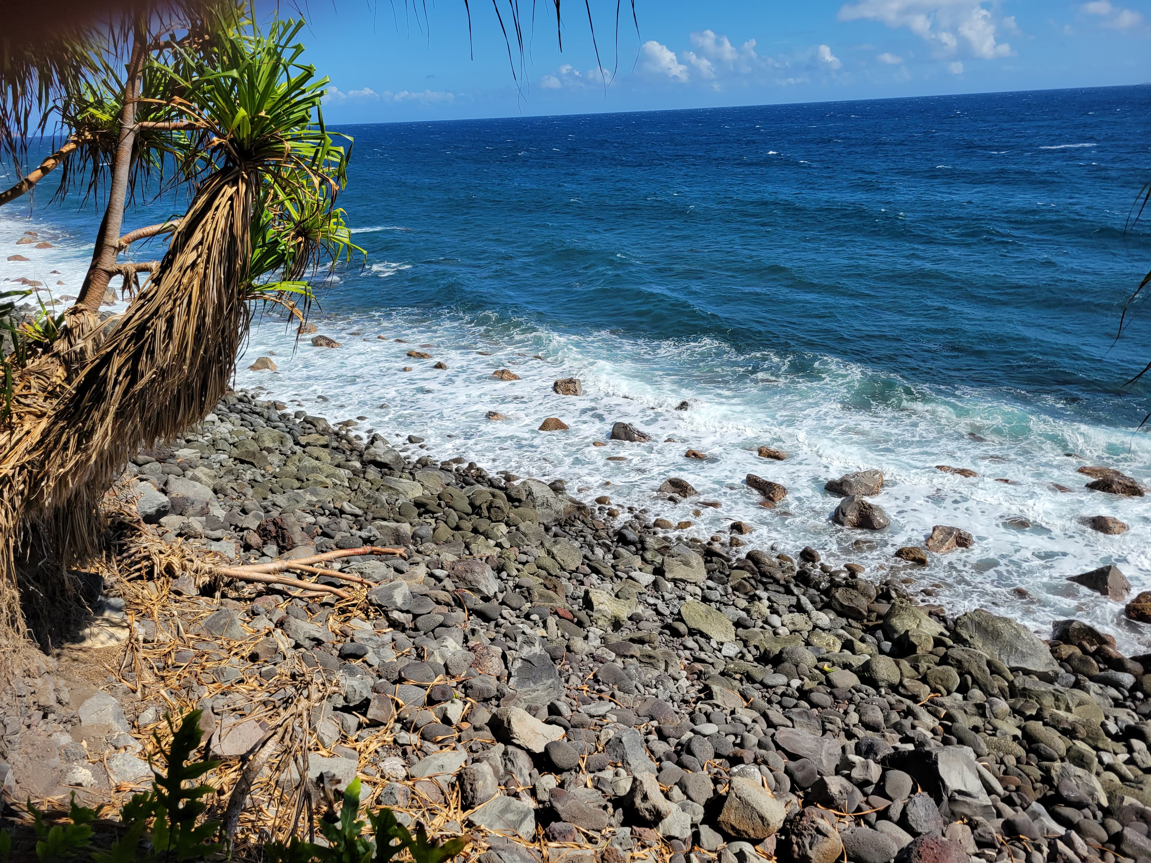 What to Do and See on the Big Island of Hawai'i curated by Meaghan Goldberg