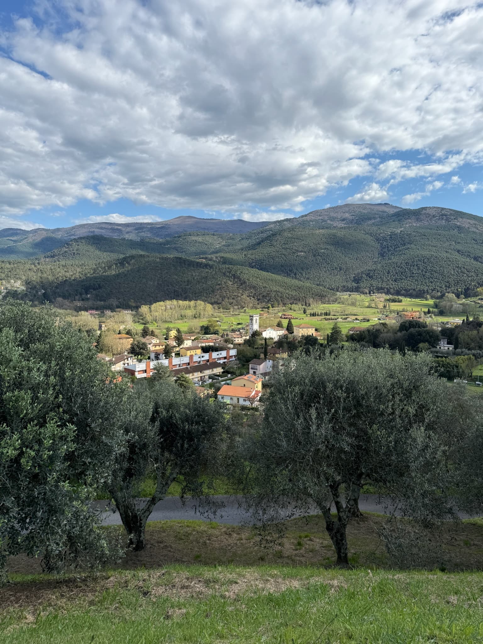 La Dolce Vita: A Family Week in Lucca, Florence & Cinque Terre curated by Michele Rhudy