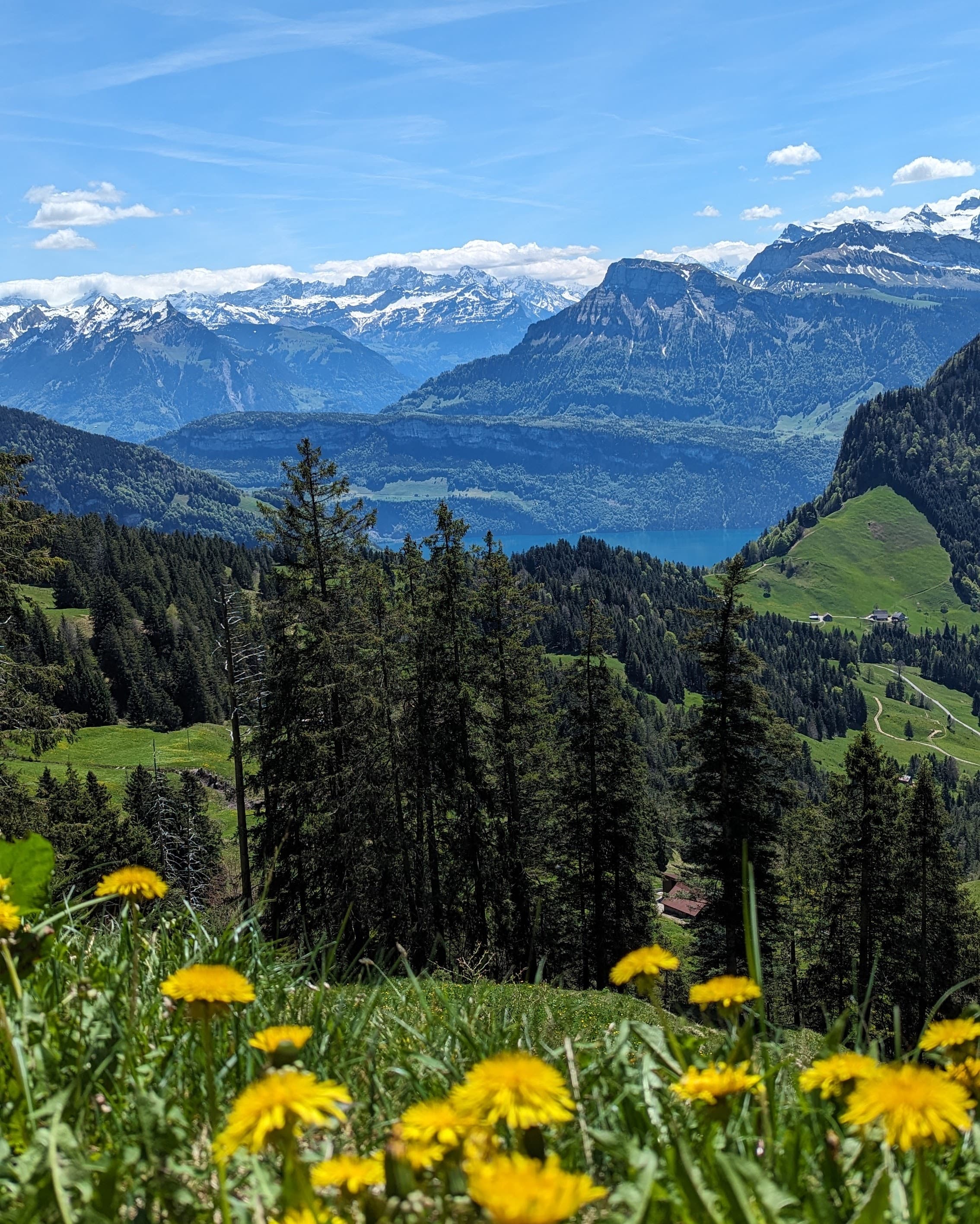 Switzerland in Six: The Perfect Blend of Cities, Lakes & Alps Adventures curated by Vishvesh Patel