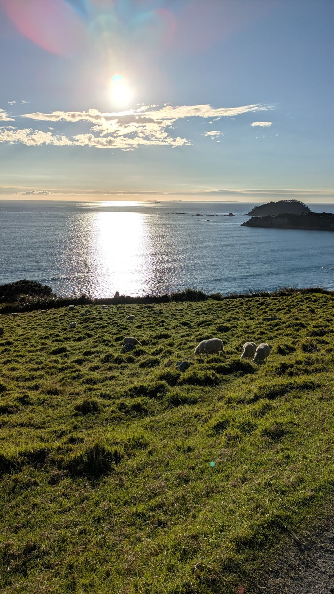 Kiwi Family Adventures: New Zealand with Young Kids curated by Mike Mertel